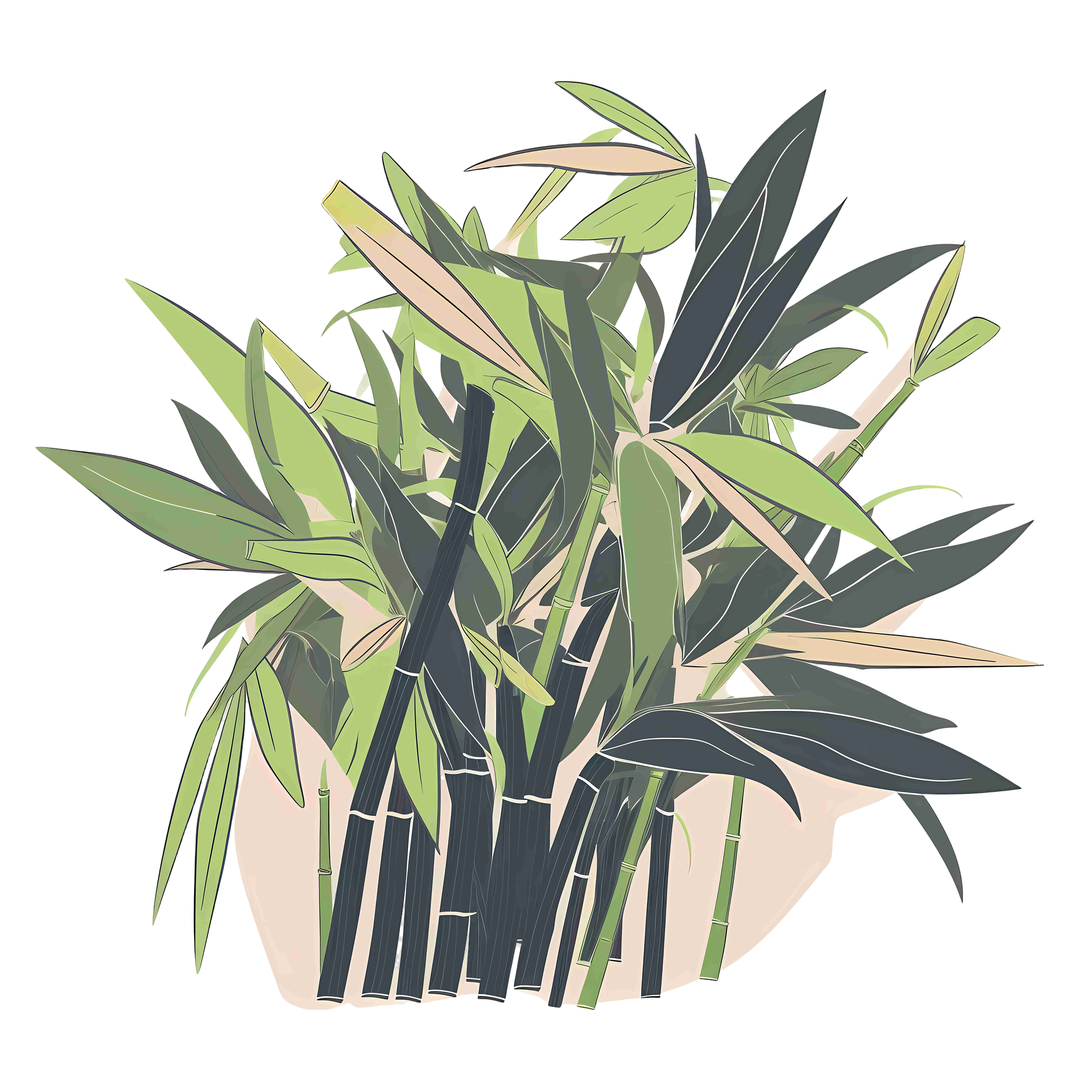 Soft color hand-painted flat illustration bamboo material PNG transparent background commercial design elements