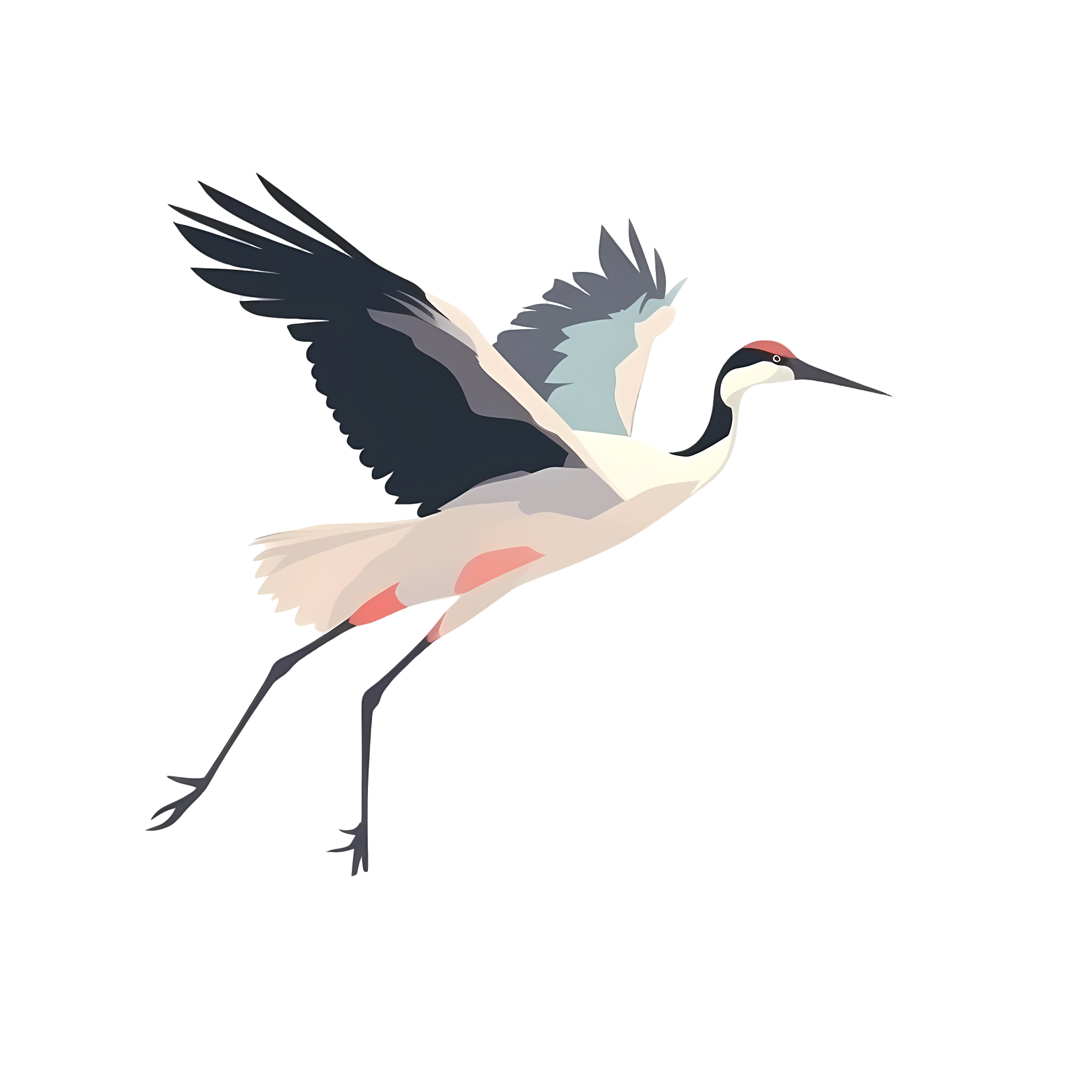 Red-crowned Crane Vector Illustration Transparent Background
