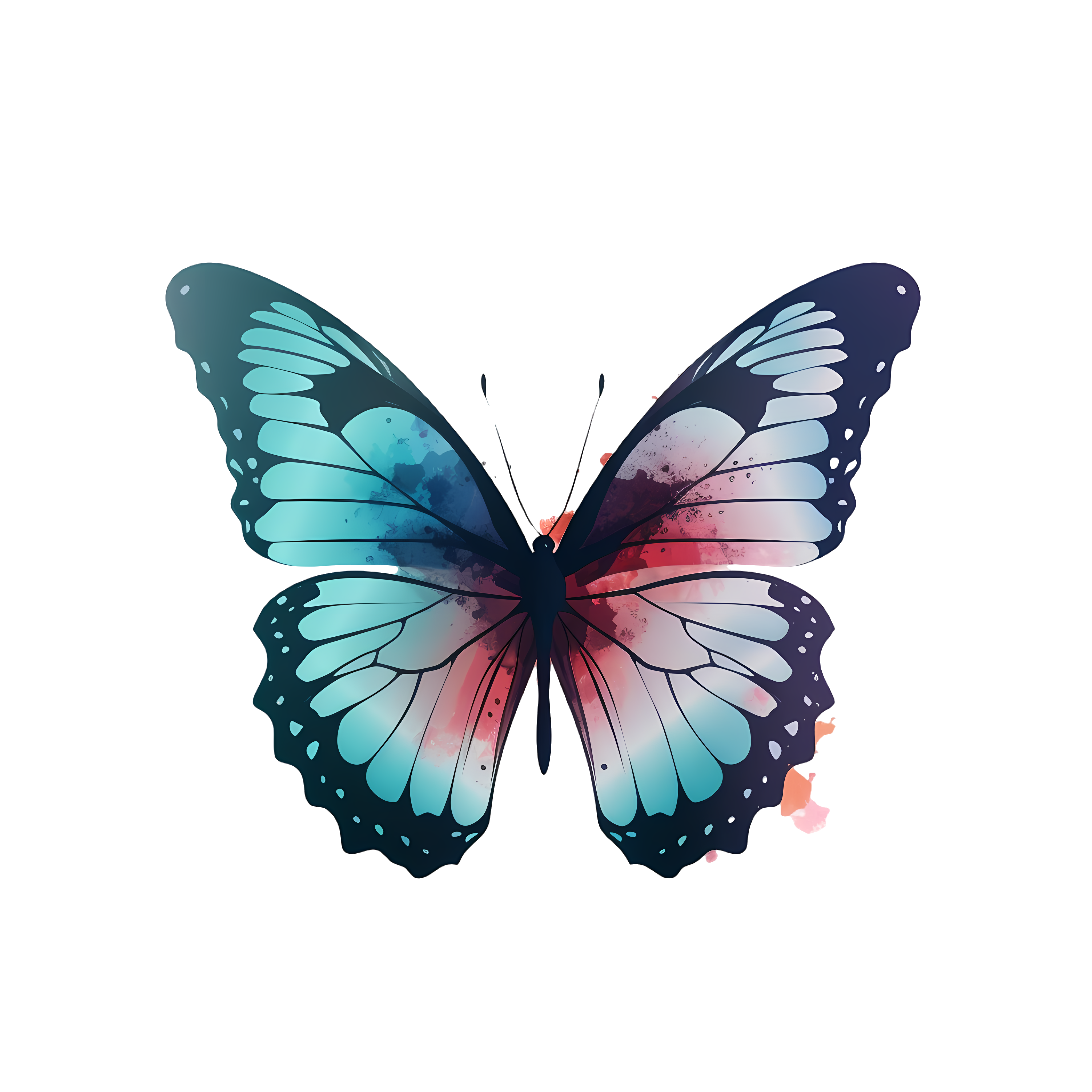 Transparent background butterfly vector illustration