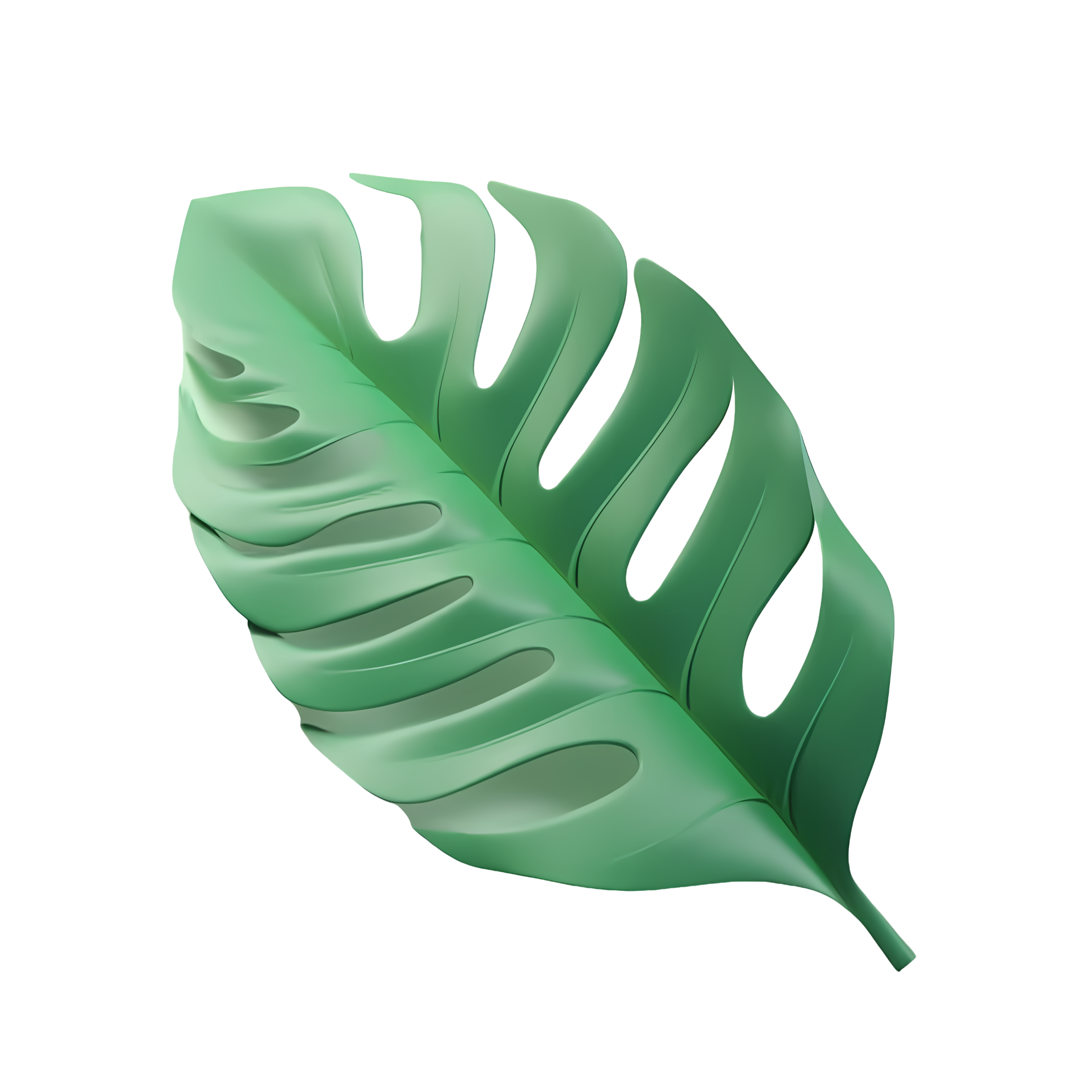 Green banana leaf material