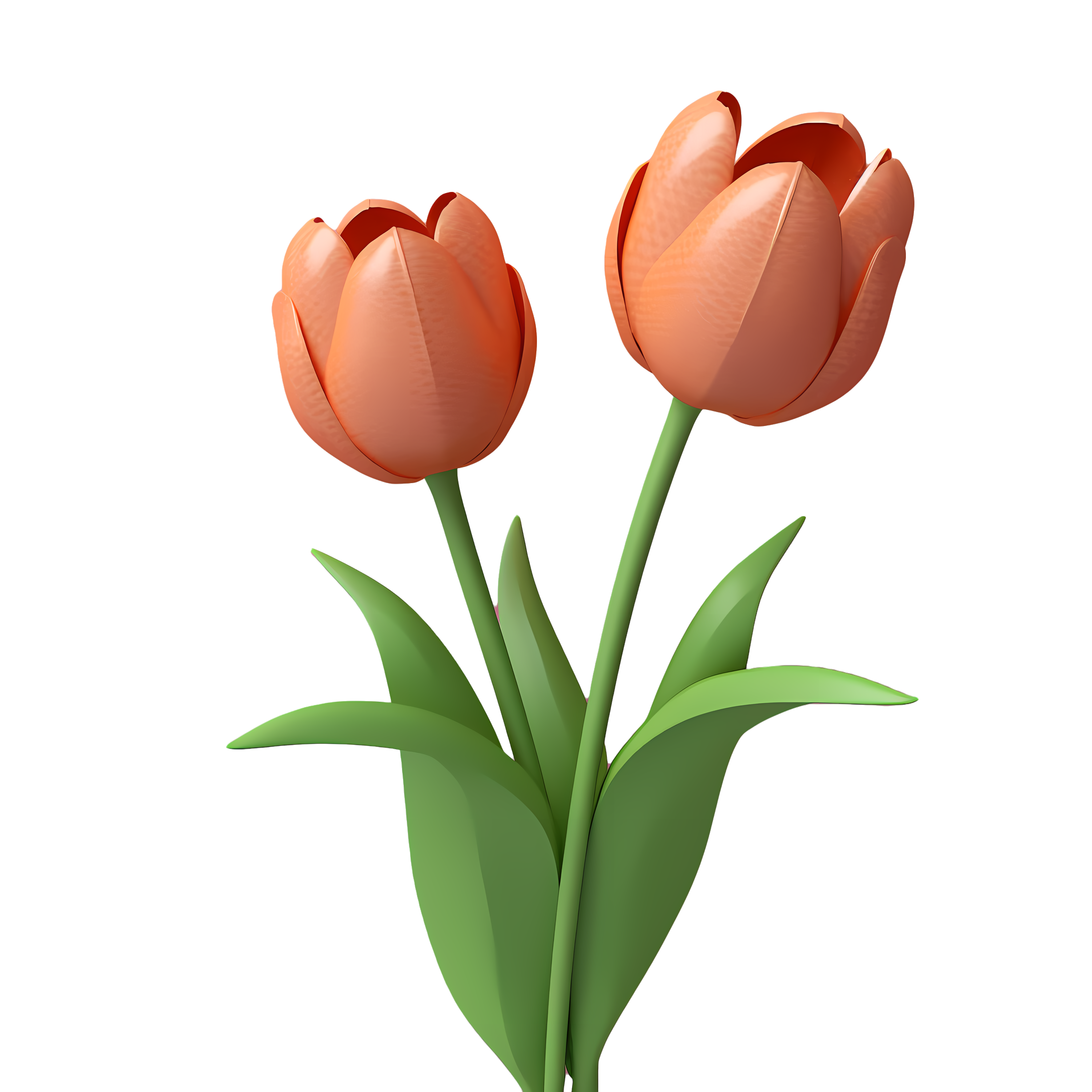 3D Stereoscopic Meat Pink Tulip PNG Illustration