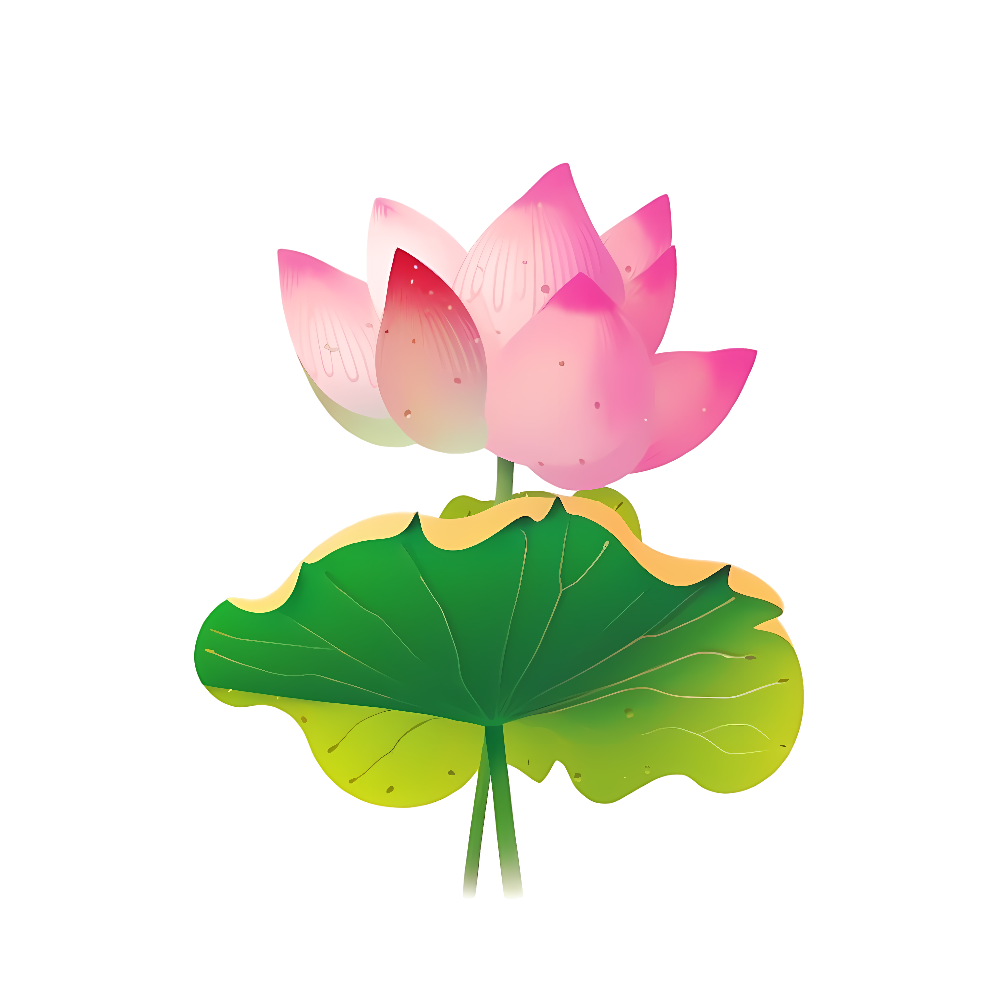 Lotus blue-pink gradient flat illustration design material
