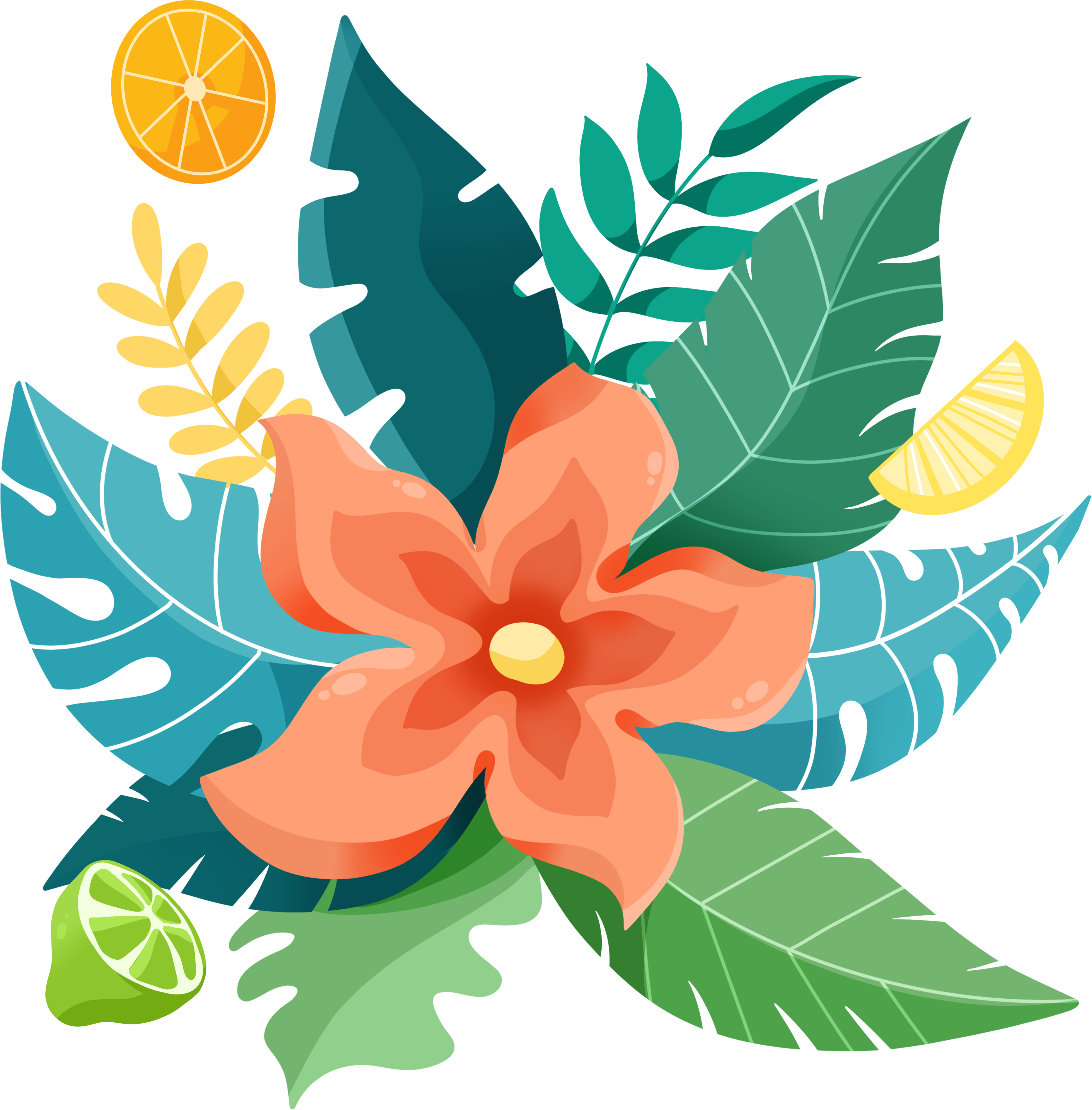 Colorful Tropical Flower Illustration Design PNG Material