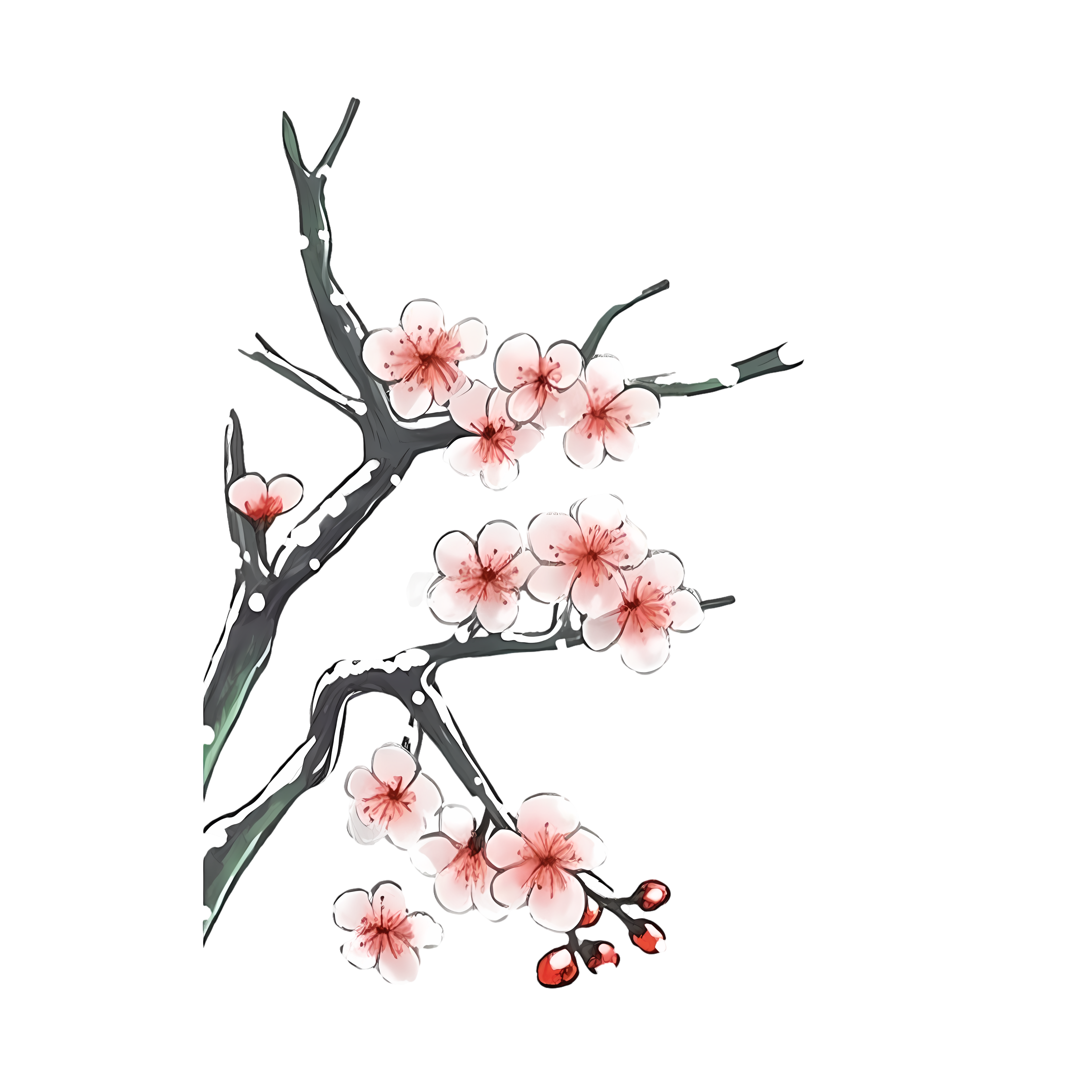 Hand-drawn plum blossom pattern PNG material