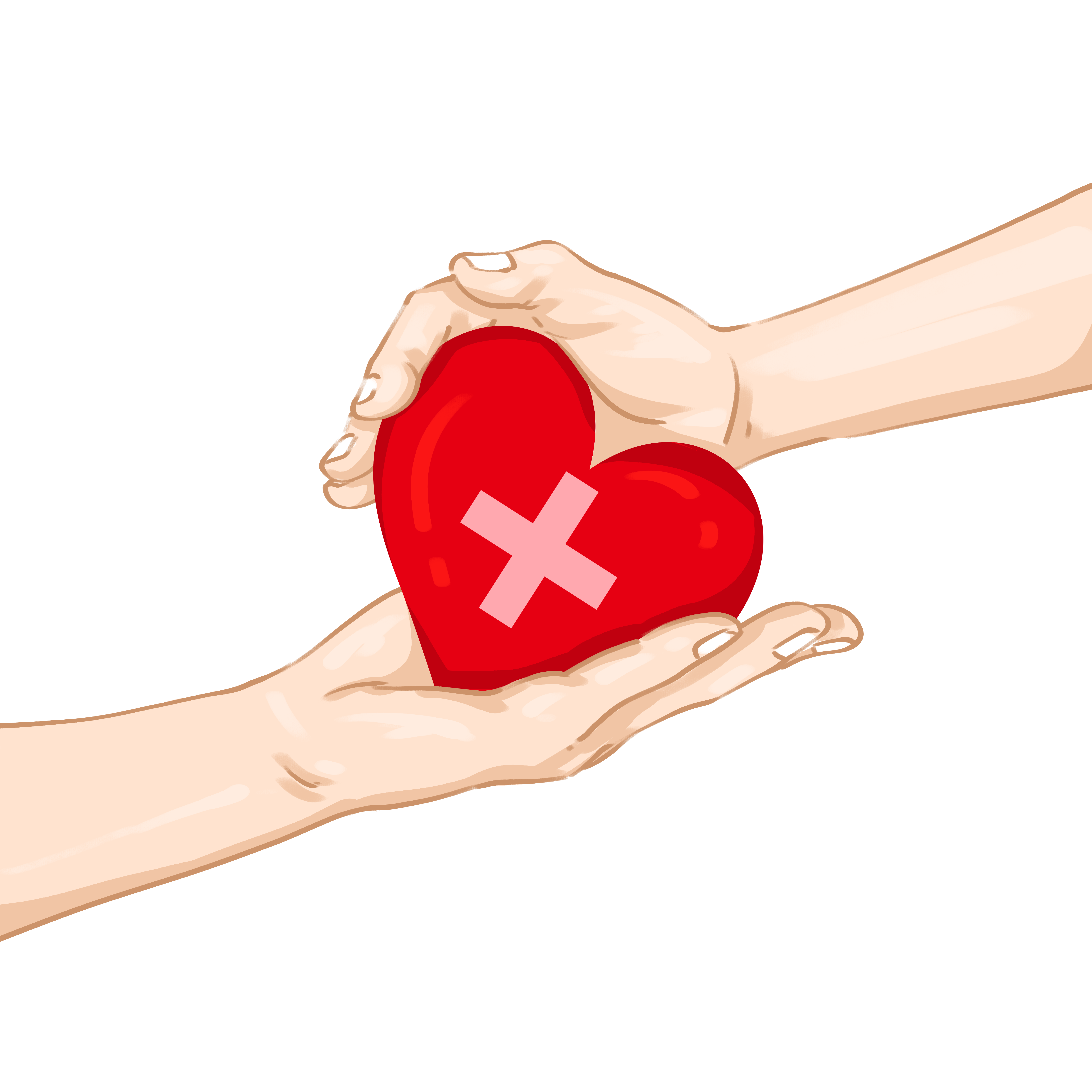 Two hands touching heart transparent background material