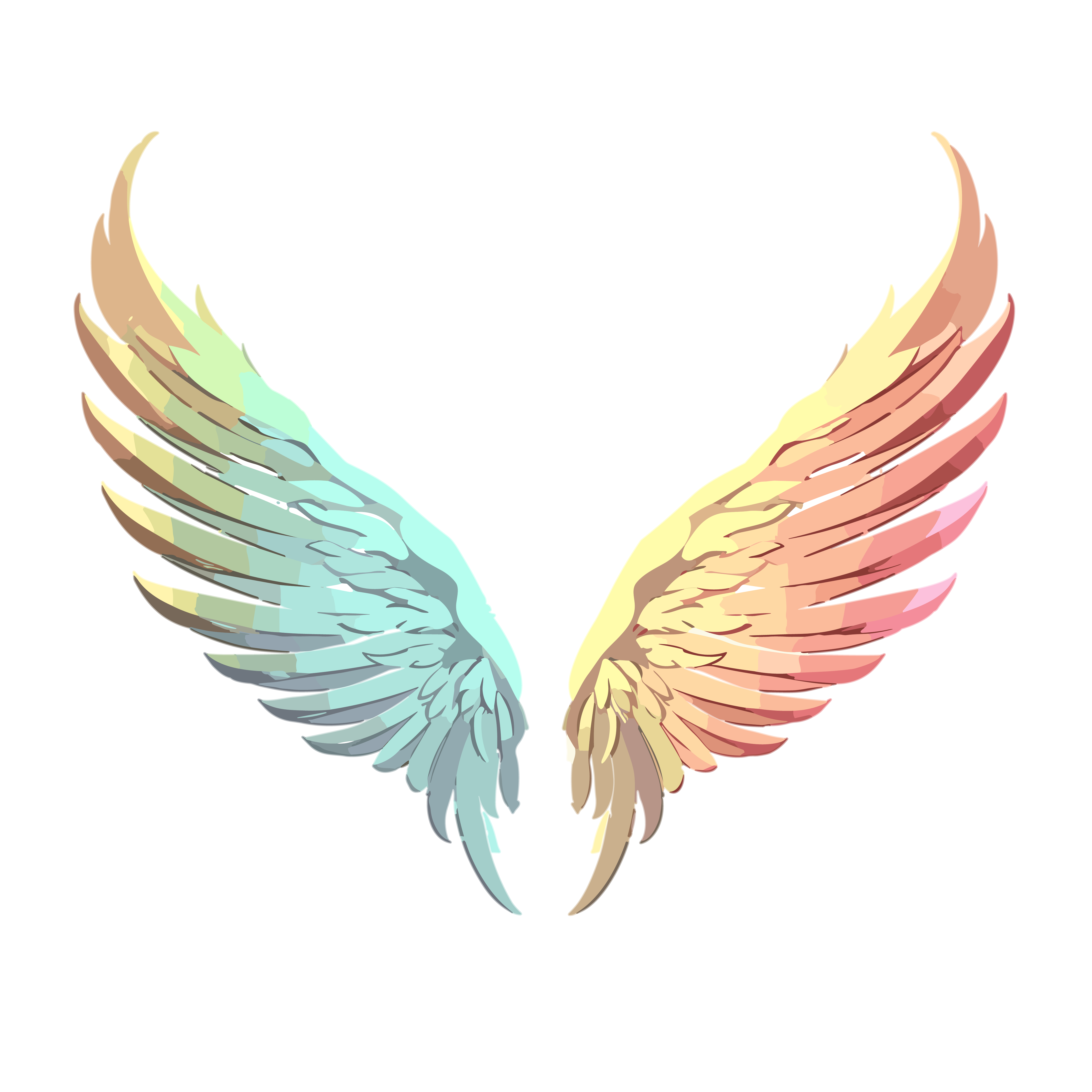 Vector wing flat illustration element with transparent background