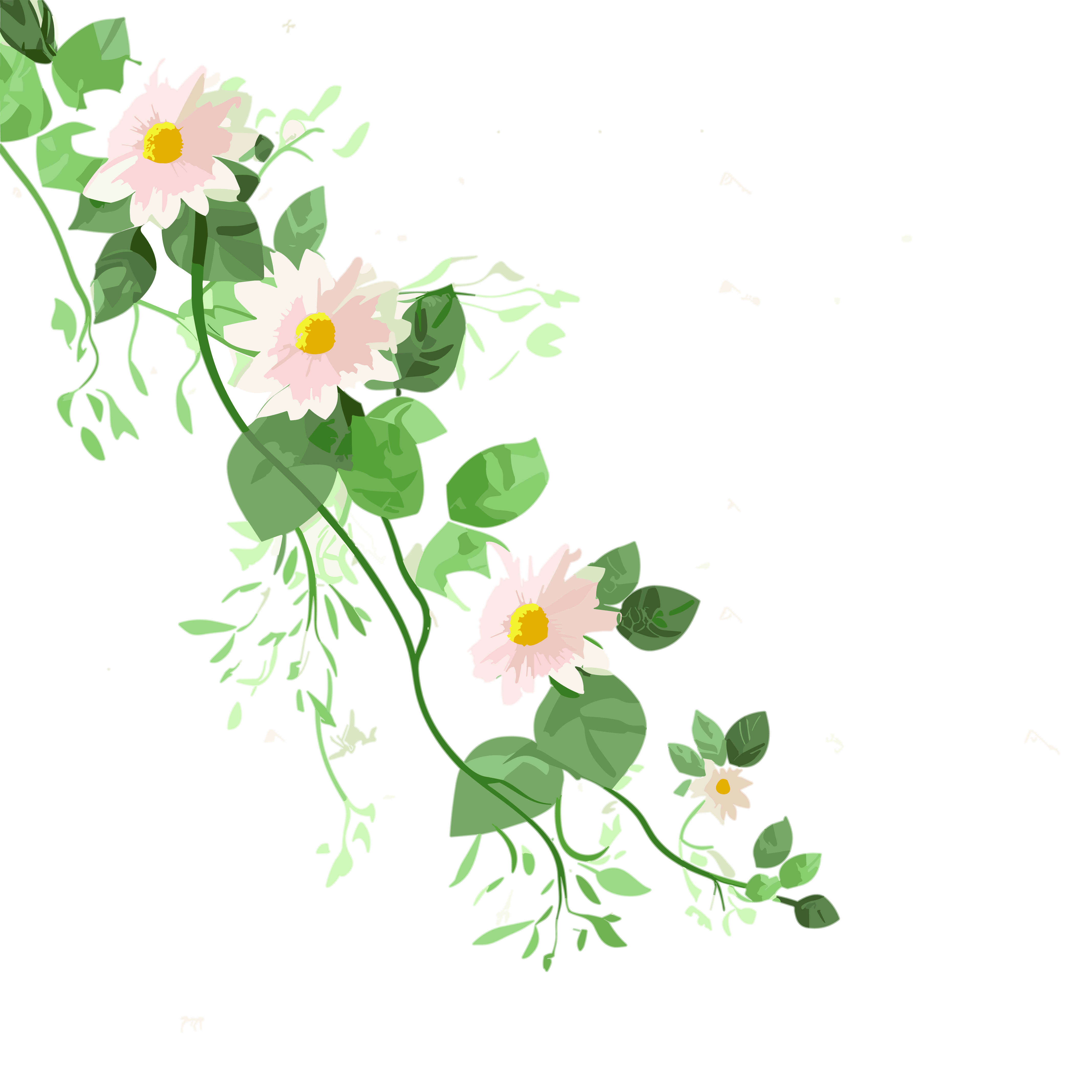 Vector floral vine illustration design