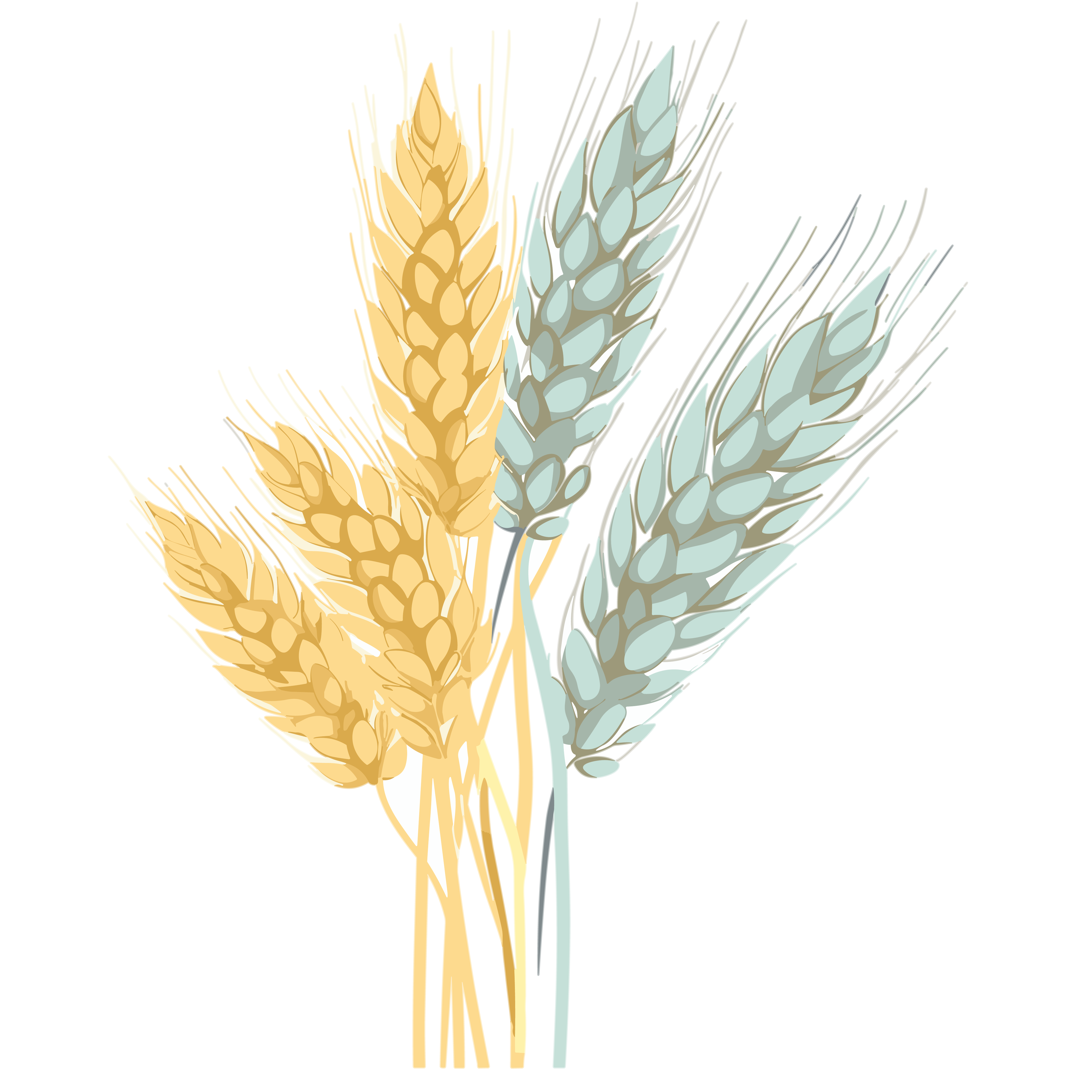 Wheat ear pastel transparent white background element