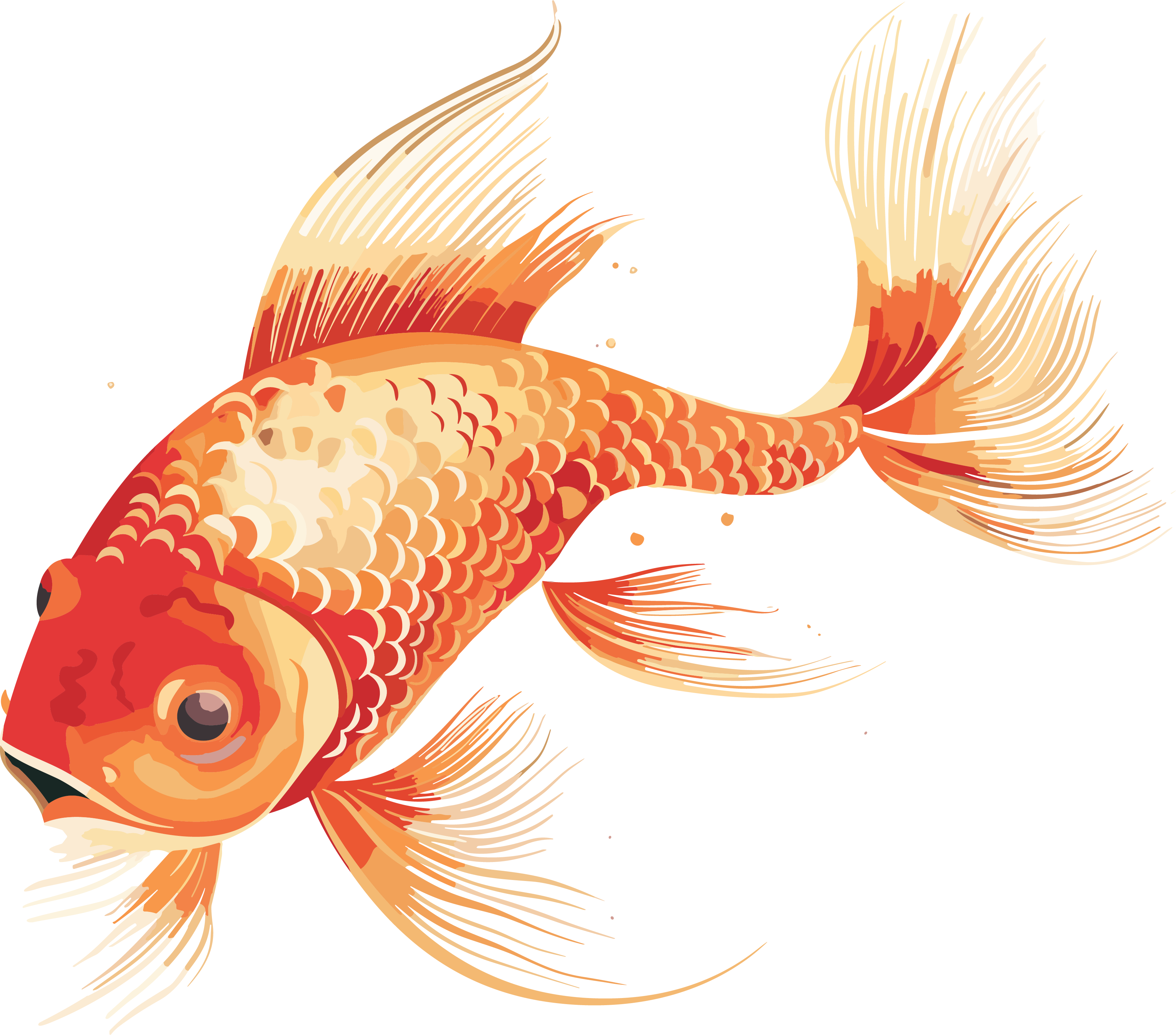 PNG graphic material of goldfish in traditional animation style