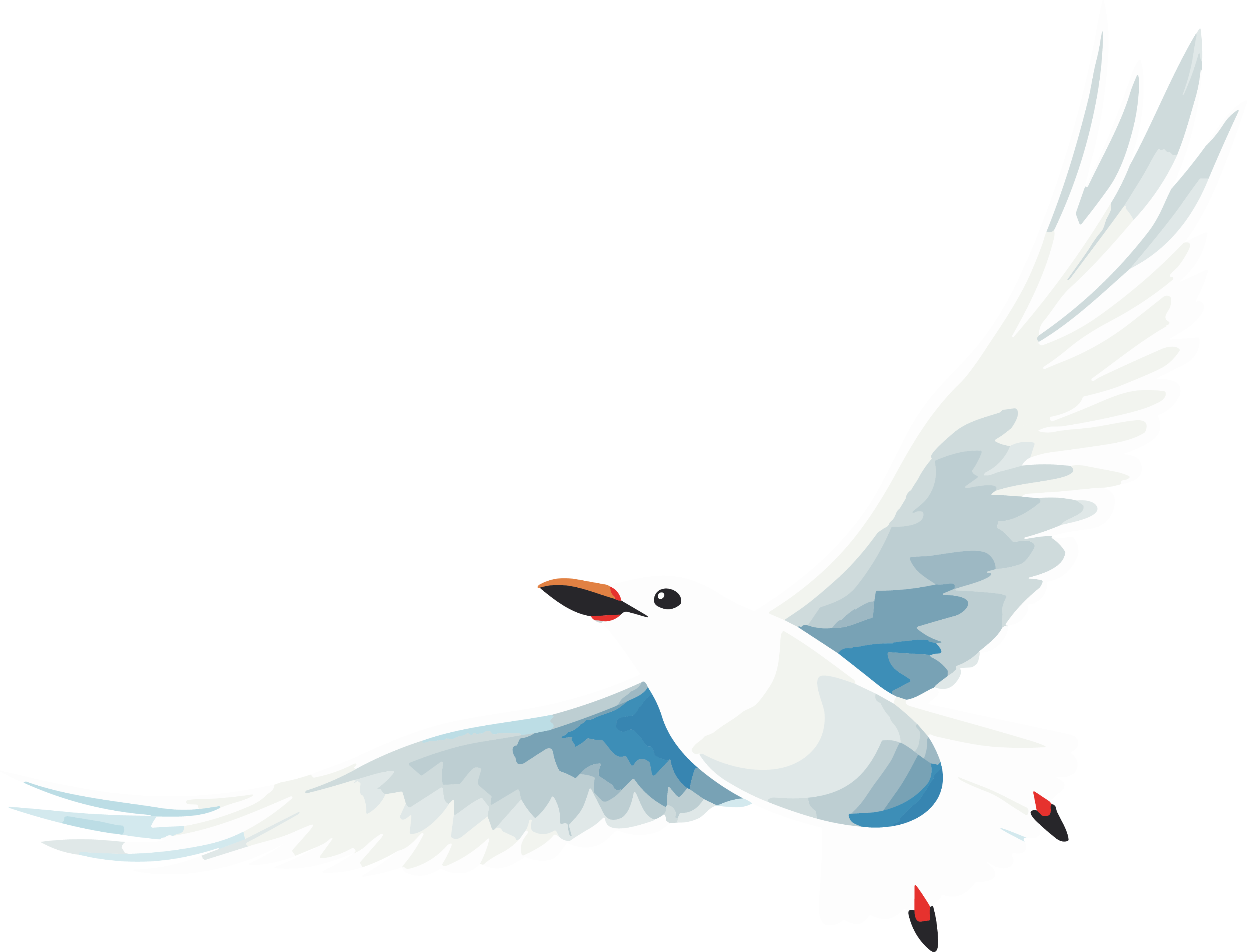 Hand-drawn illustration of a flying seagull