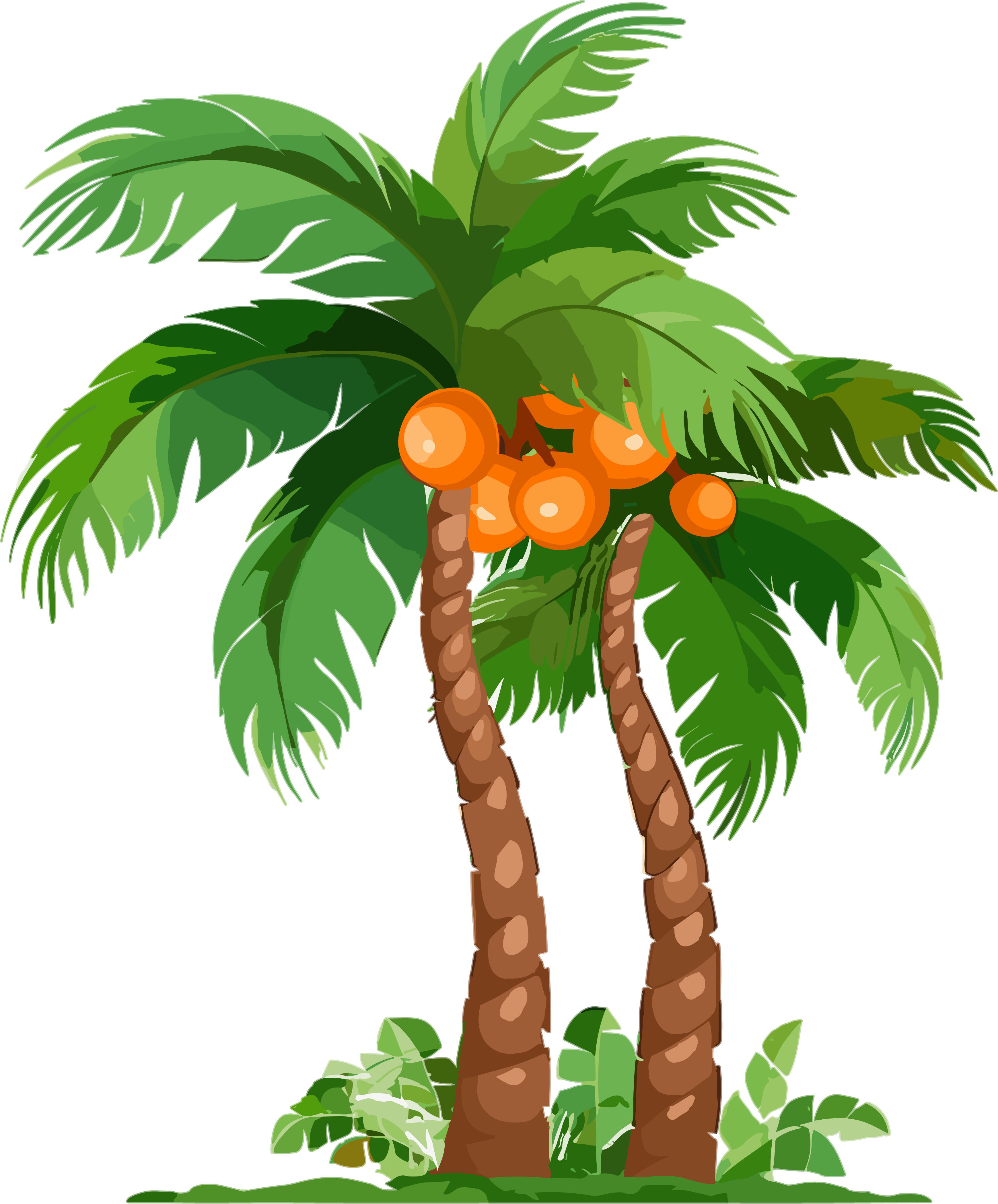 Cartoon Tropical Plant Palm Tree PNG Material