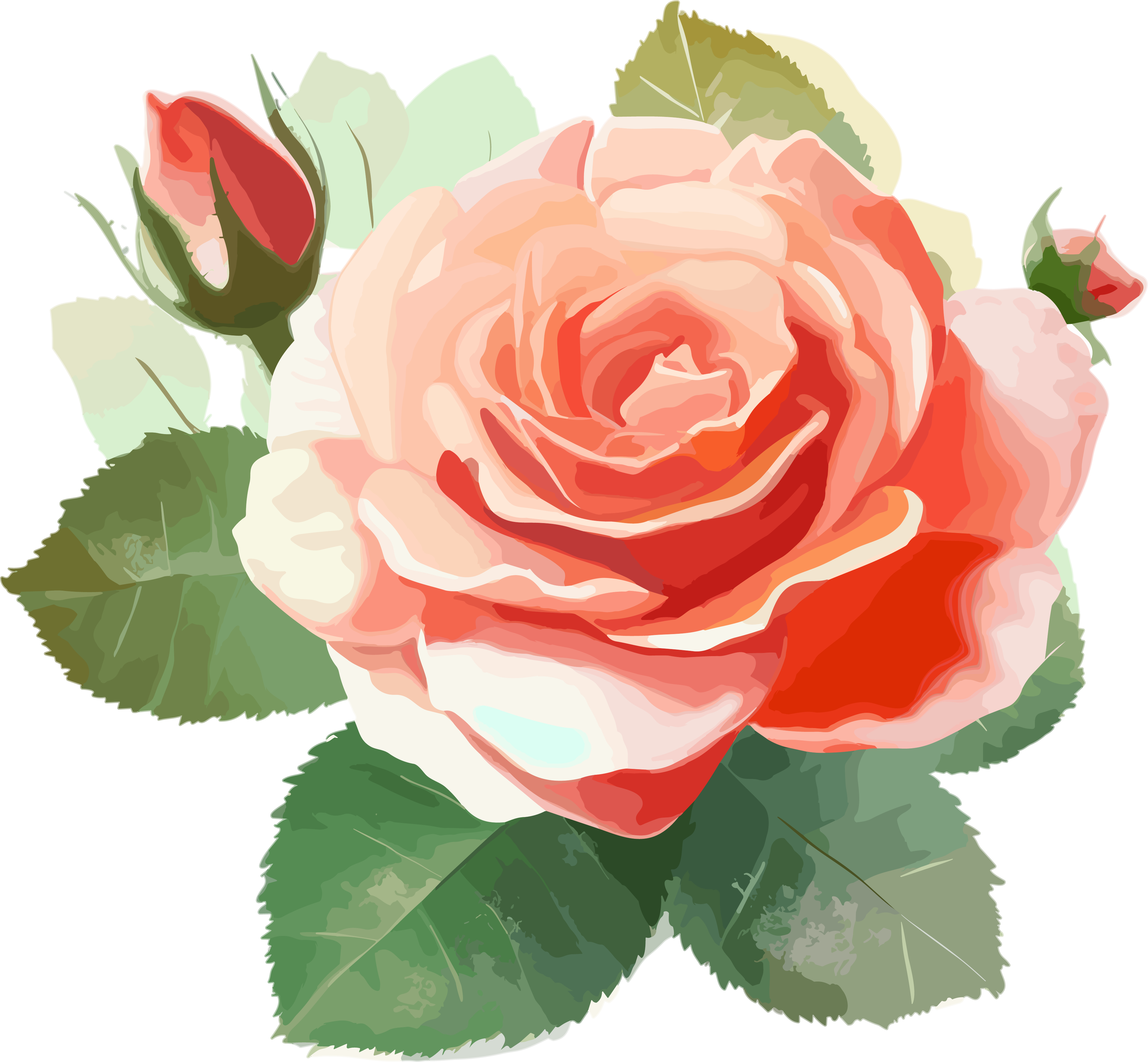 Red Rose Flower Illustration Design