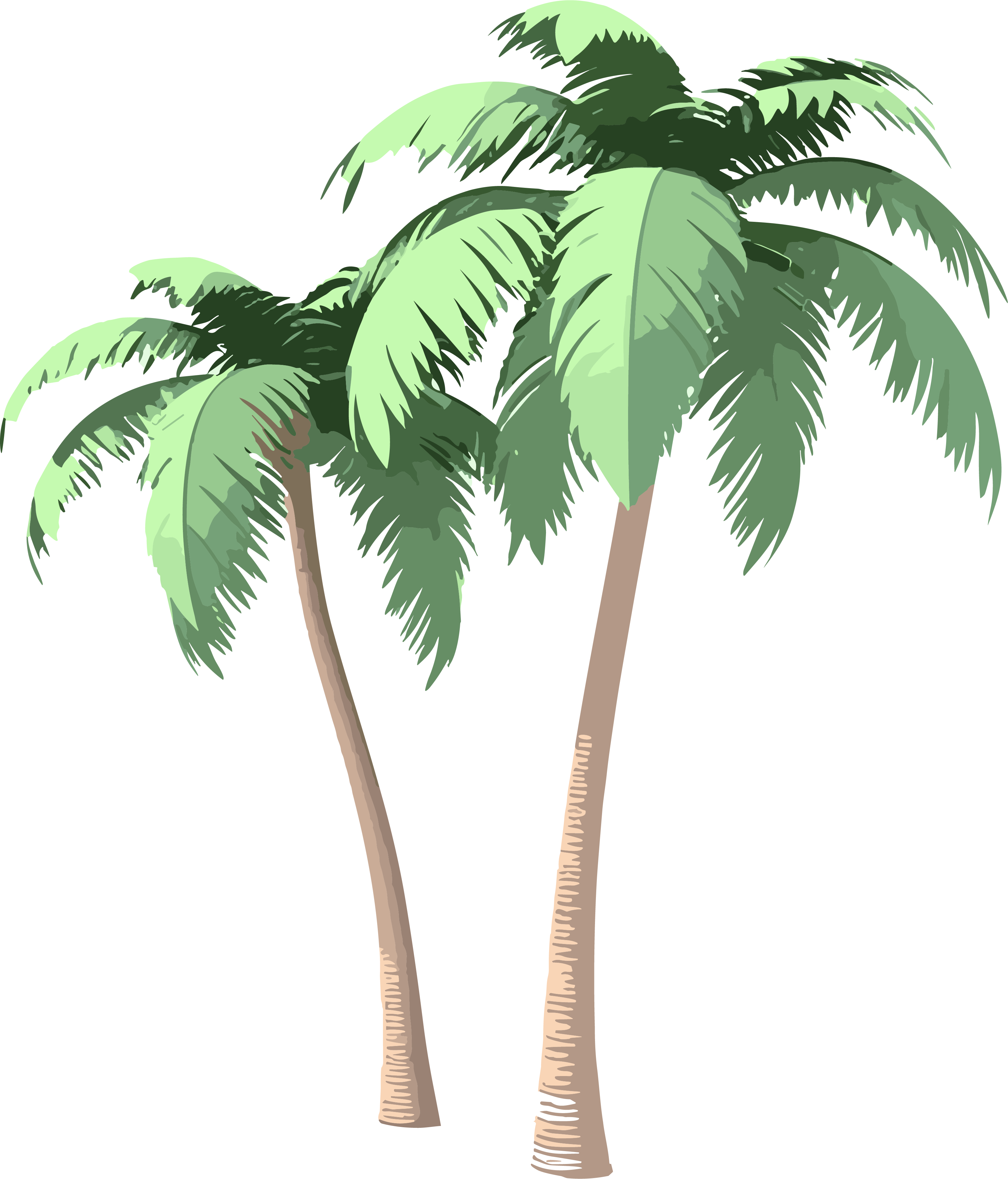 3D Illustration of Tropical Palm Trees