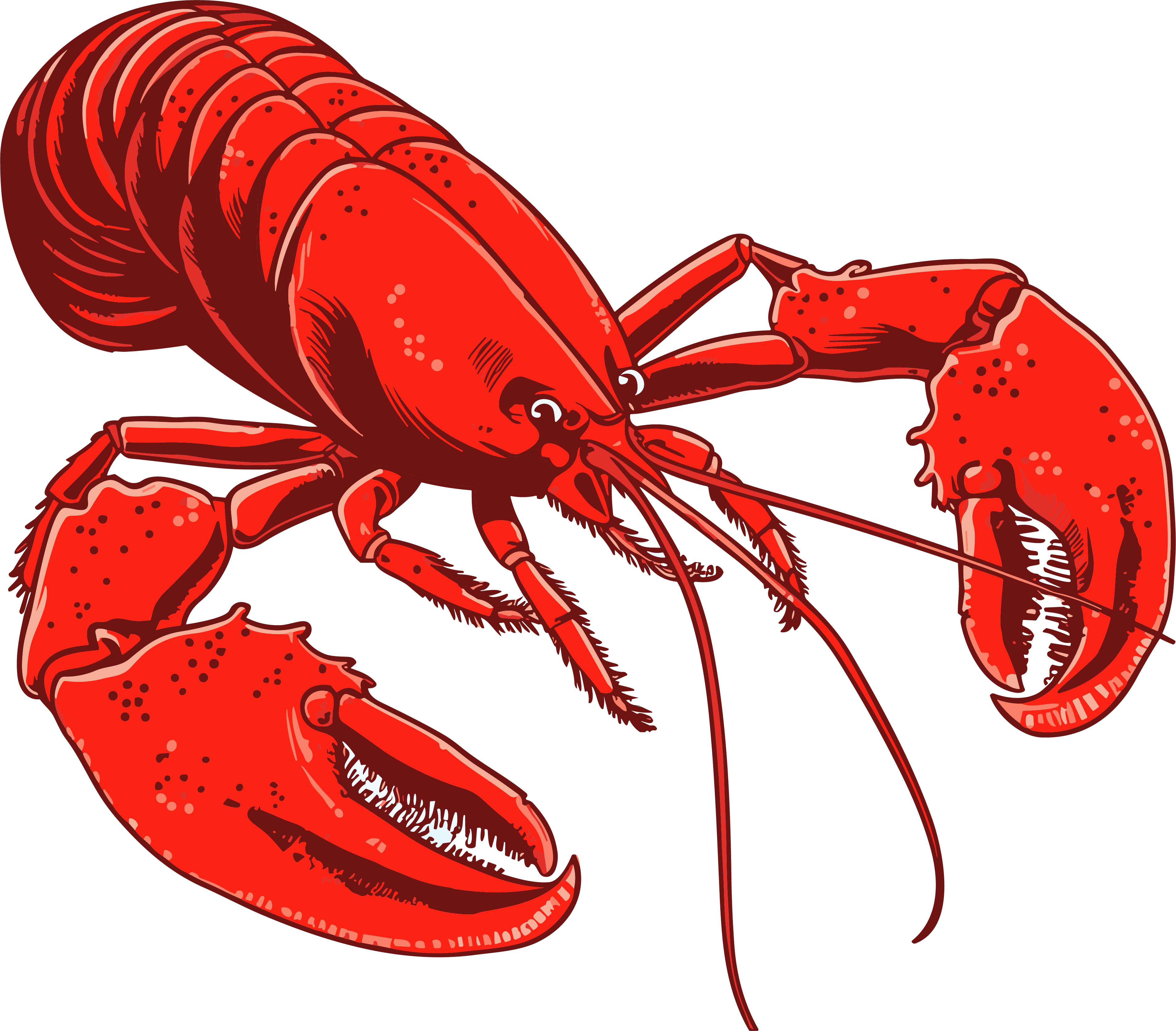 Red lobster pattern material