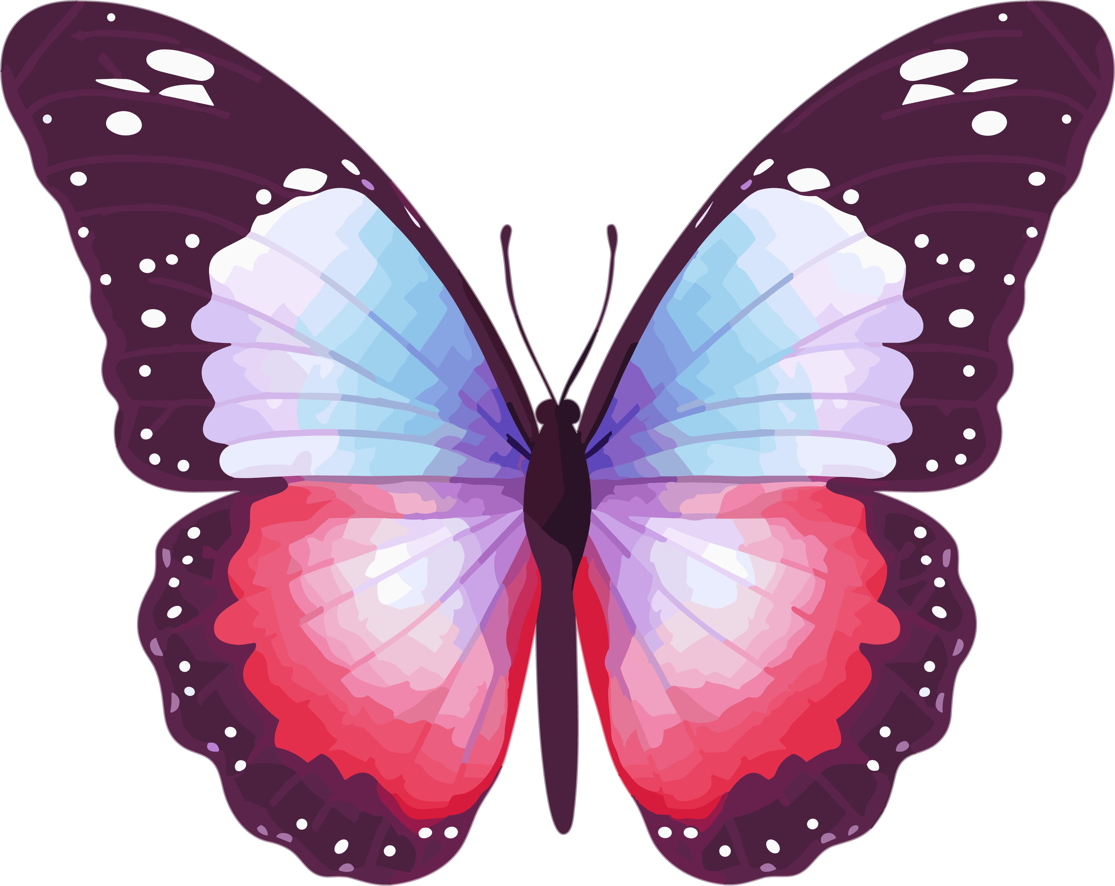 Butterfly illustration materials