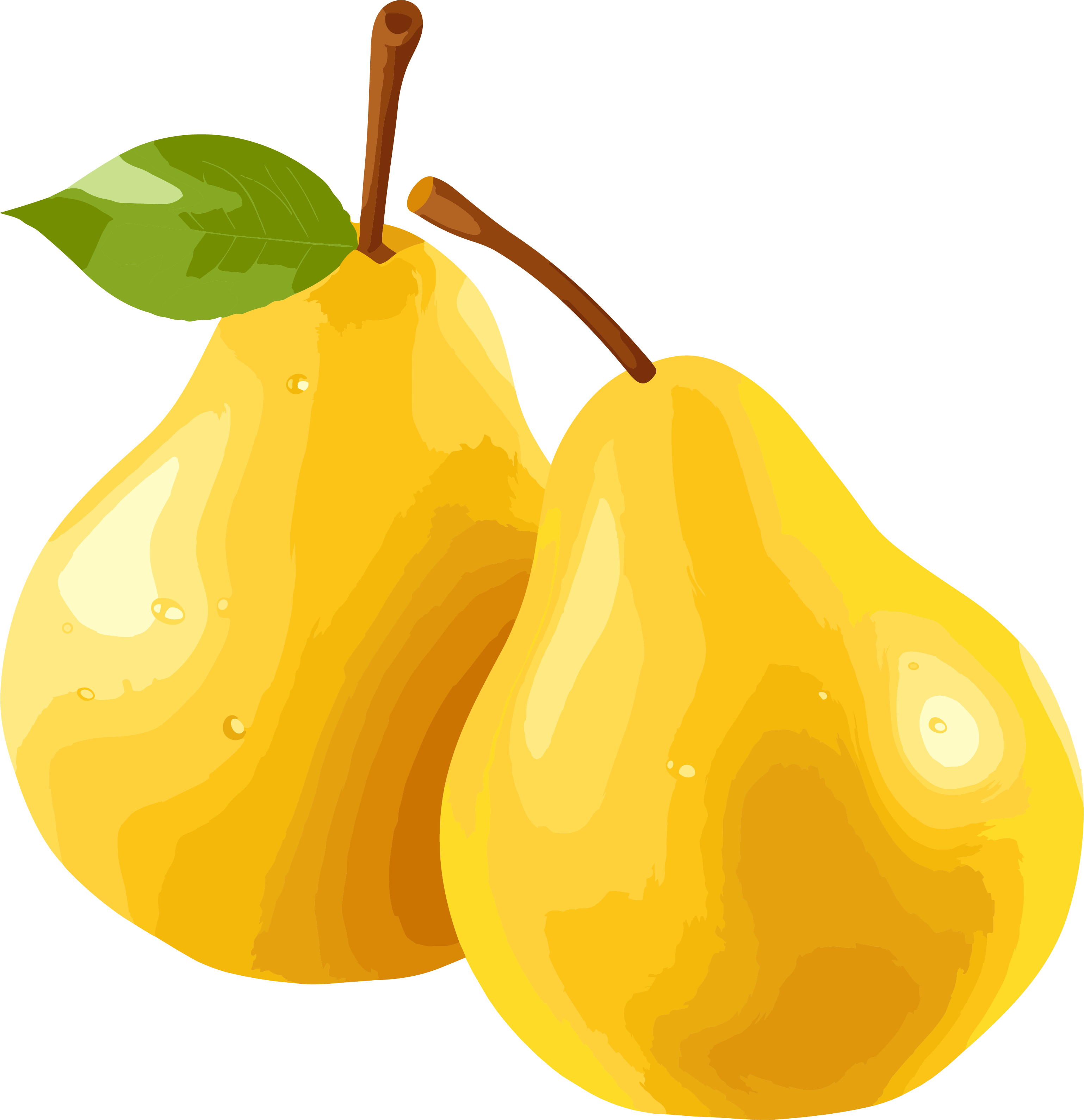 Transparent background fresh fruit pineapple vector illustration