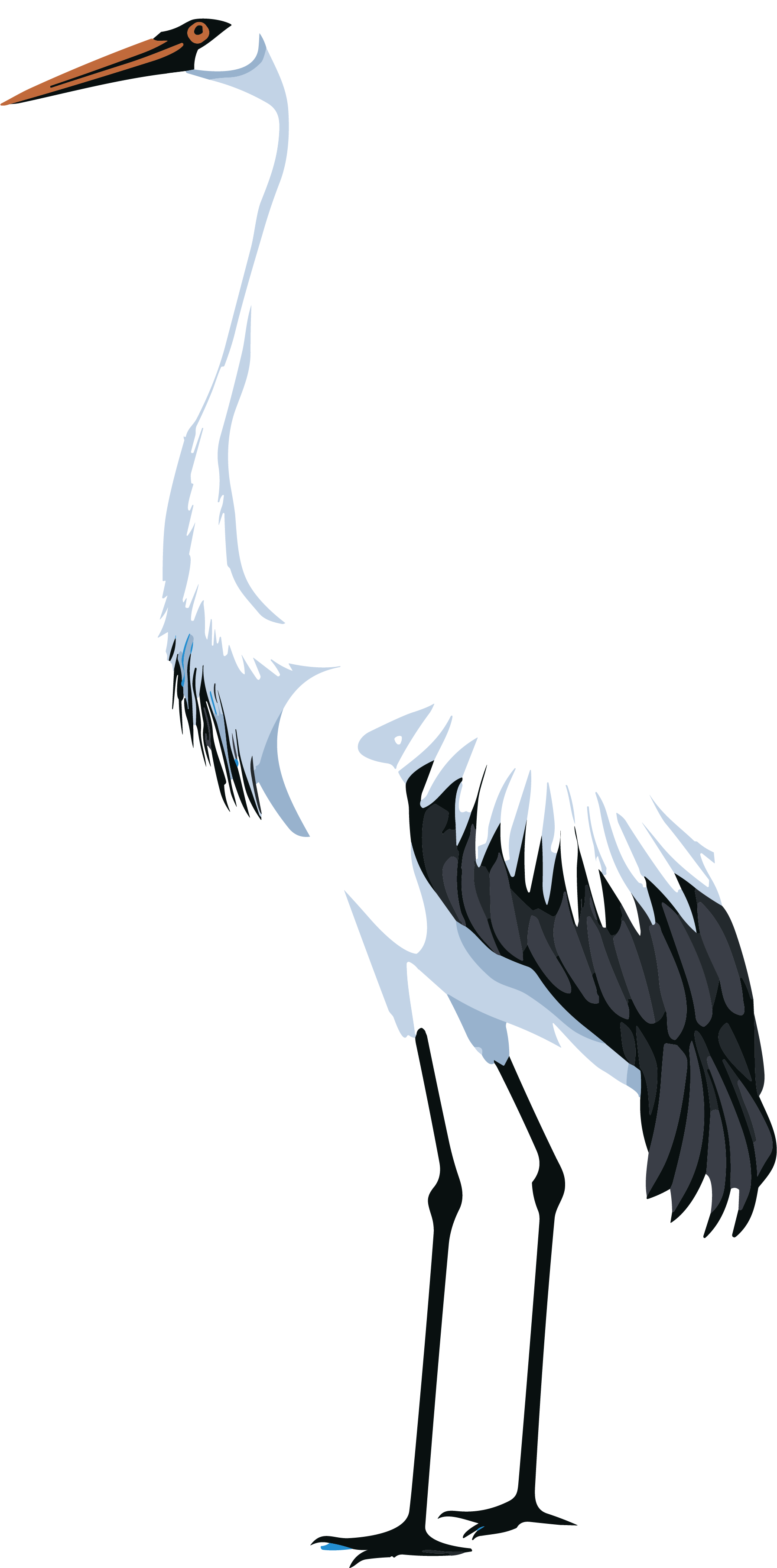 Illustration of a white crane on a white background