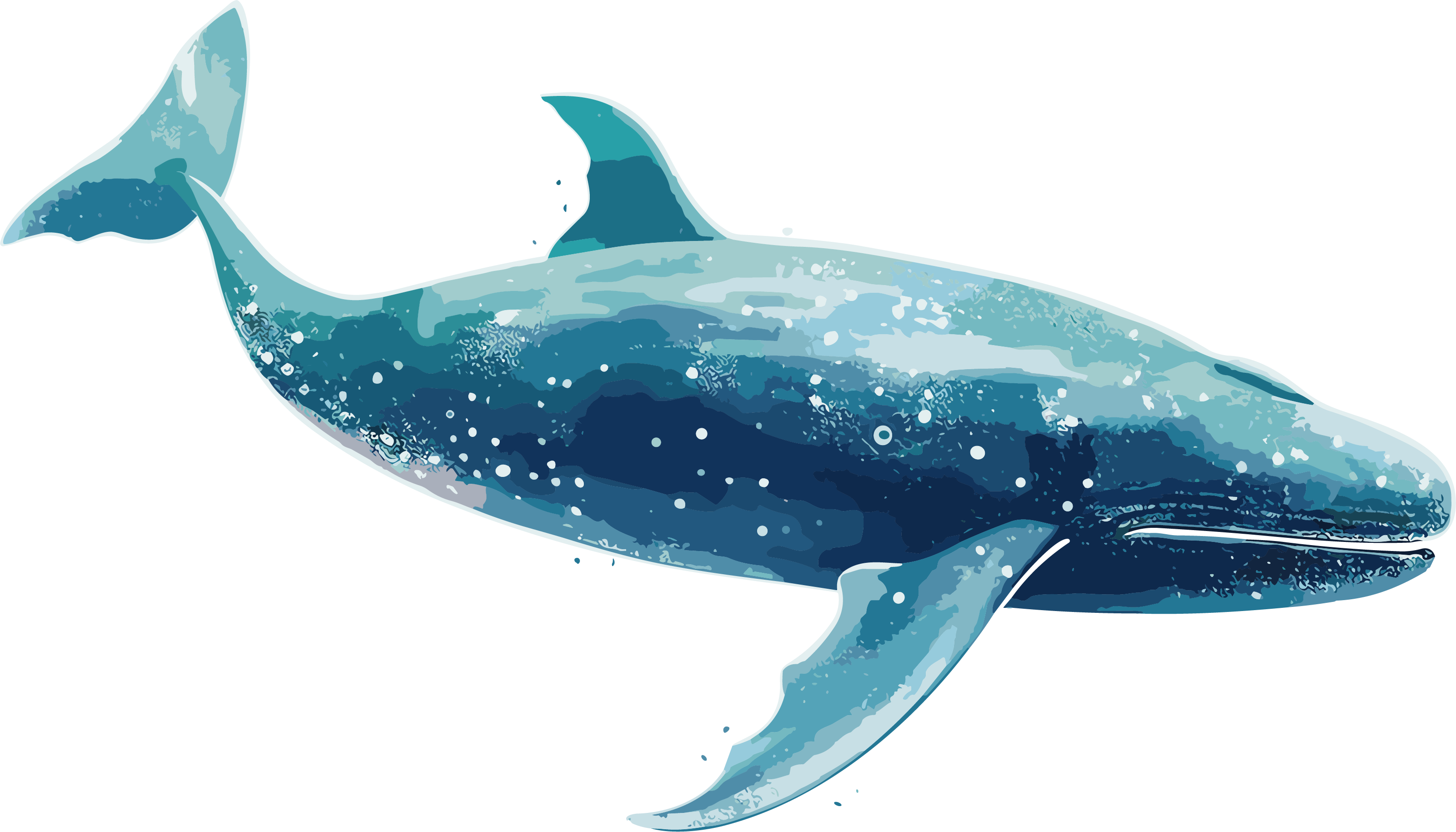 Star Art Troupe Blue Whale Dynamic Illustration Light White and Dark Teal Style Elements