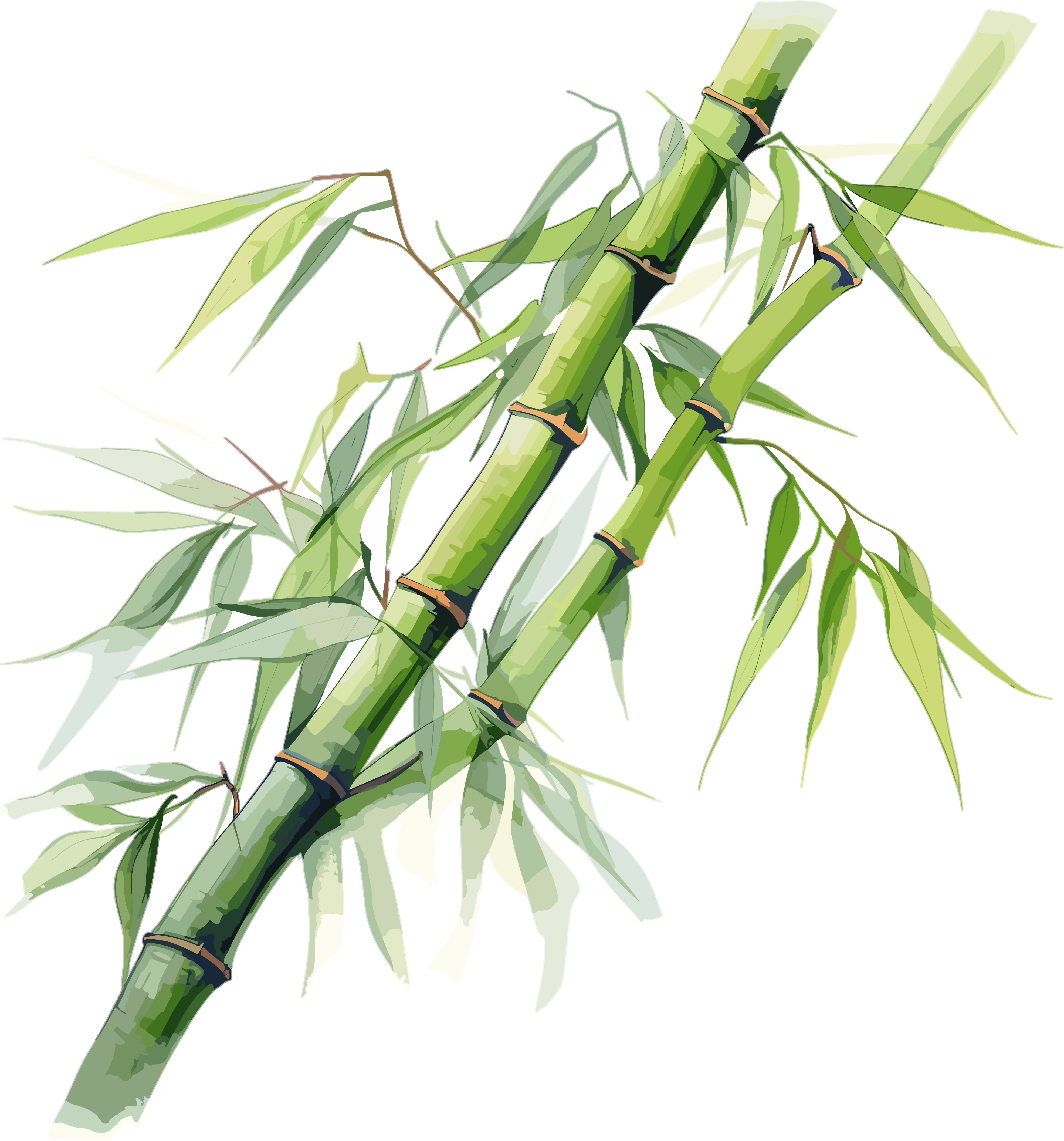 Elegant Ink Bamboo PNG Image Material