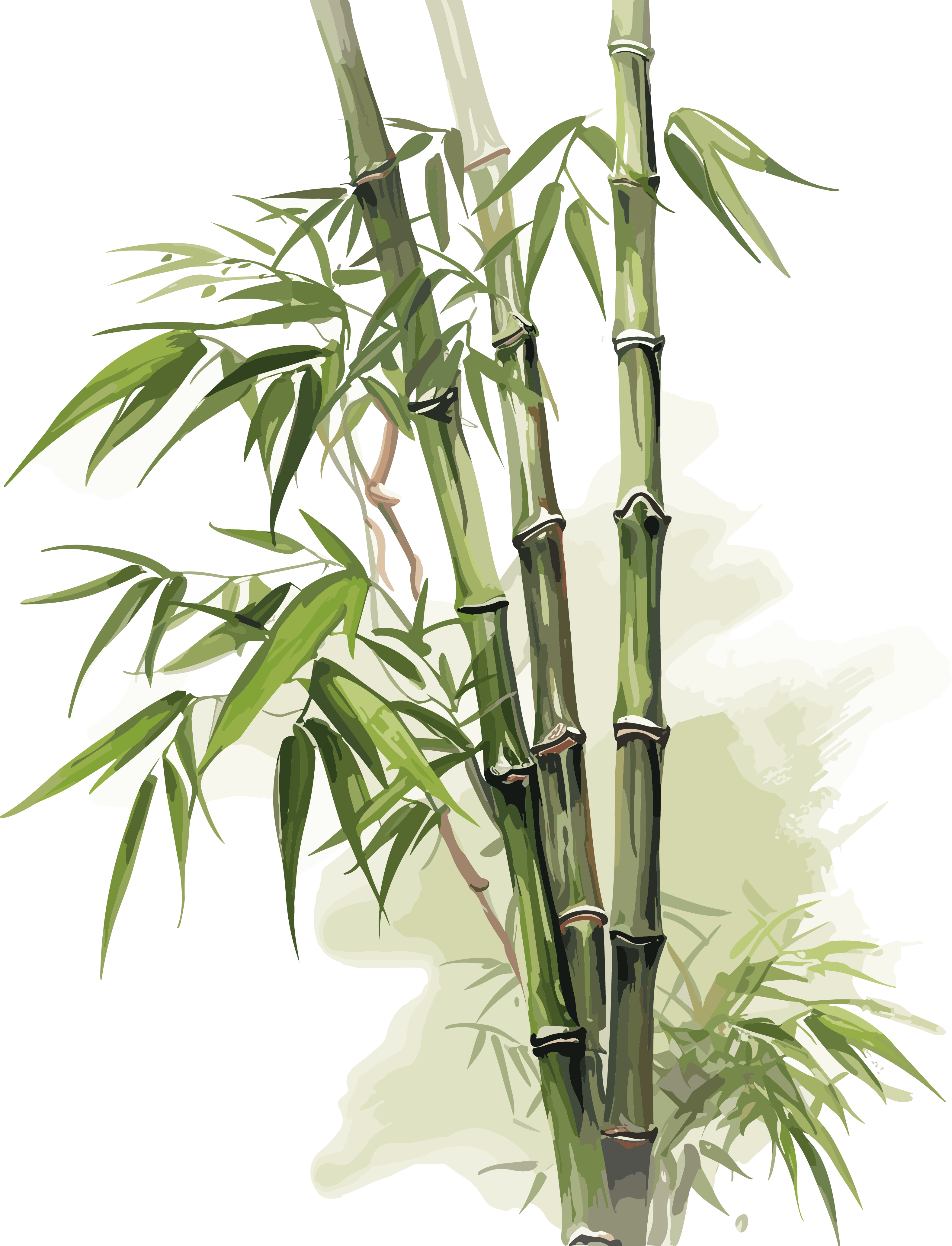 Elegant Ink Bamboo PNG Image