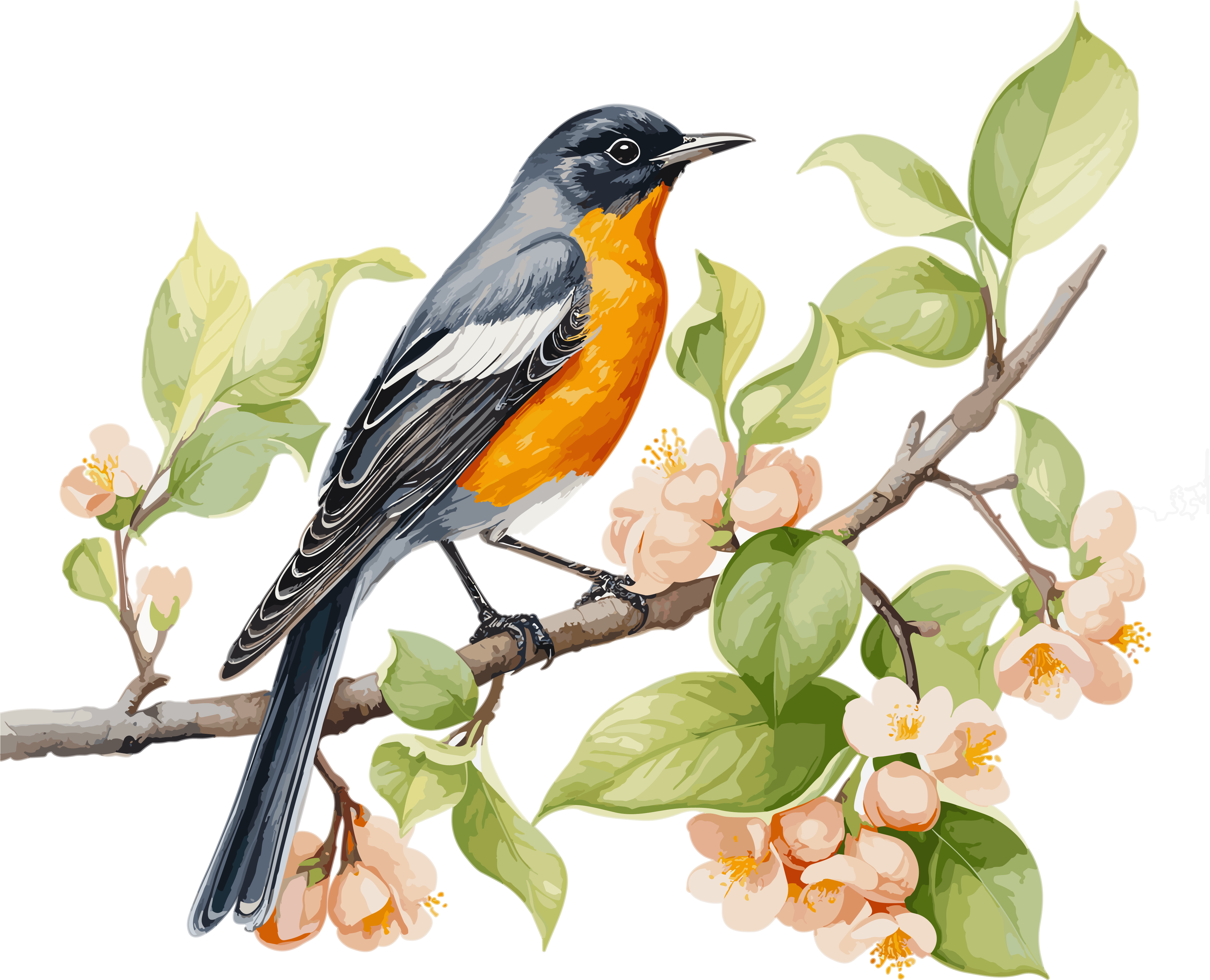A watercolor painting of an orange bird perched on a branch in a soft gray-black style.