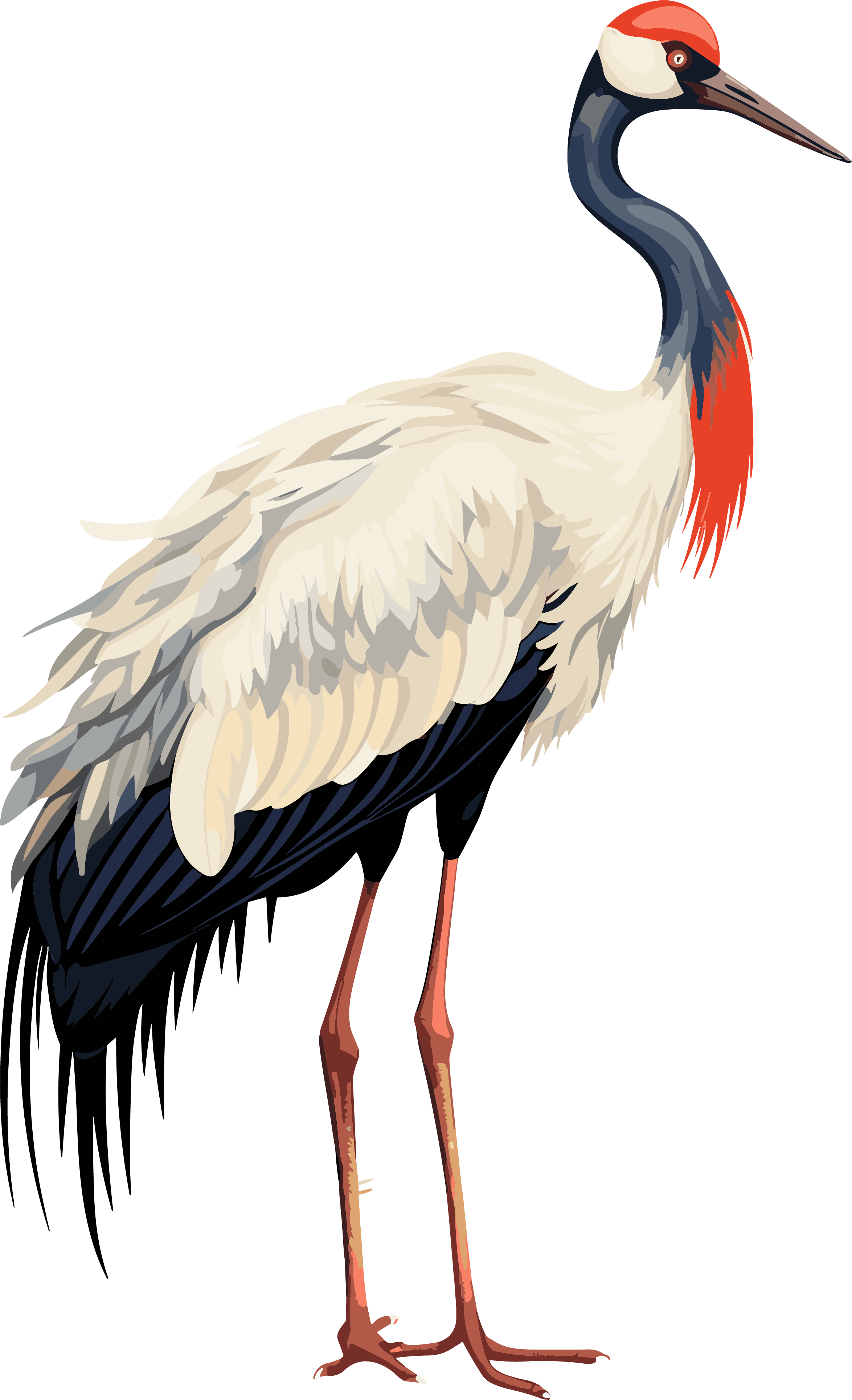 Red-crowned Crane Vector Pastel Flat Illustration Design