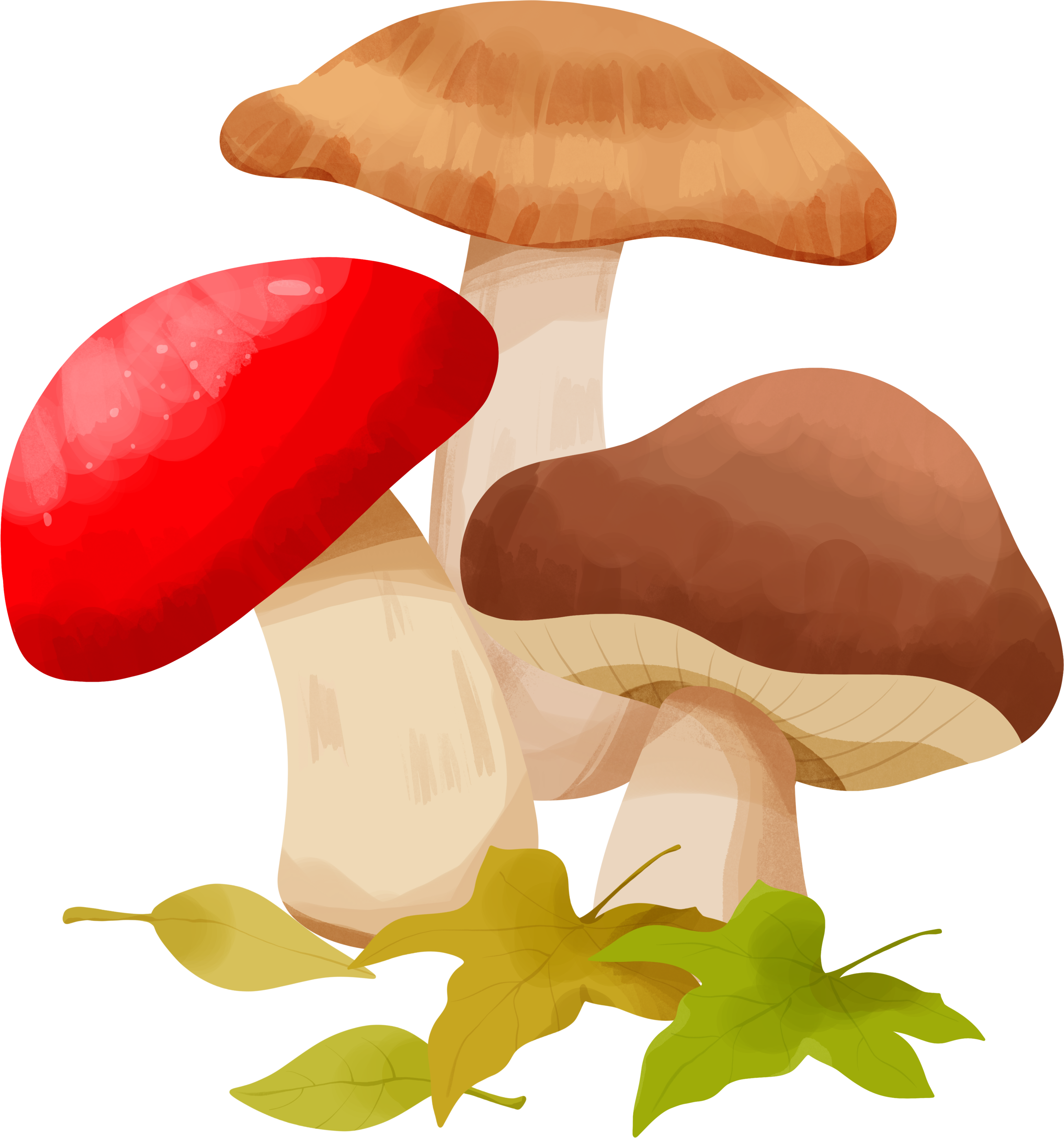 Watercolor cartoon mushroom elements