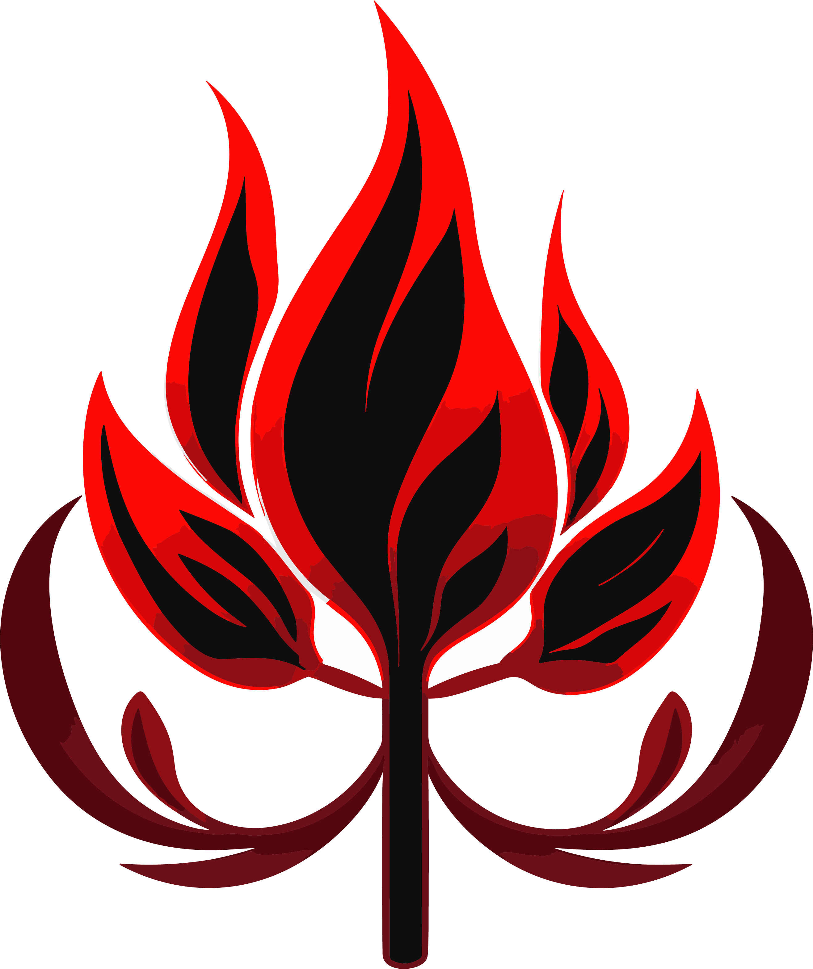 Fire Prohibition Sign Design Element