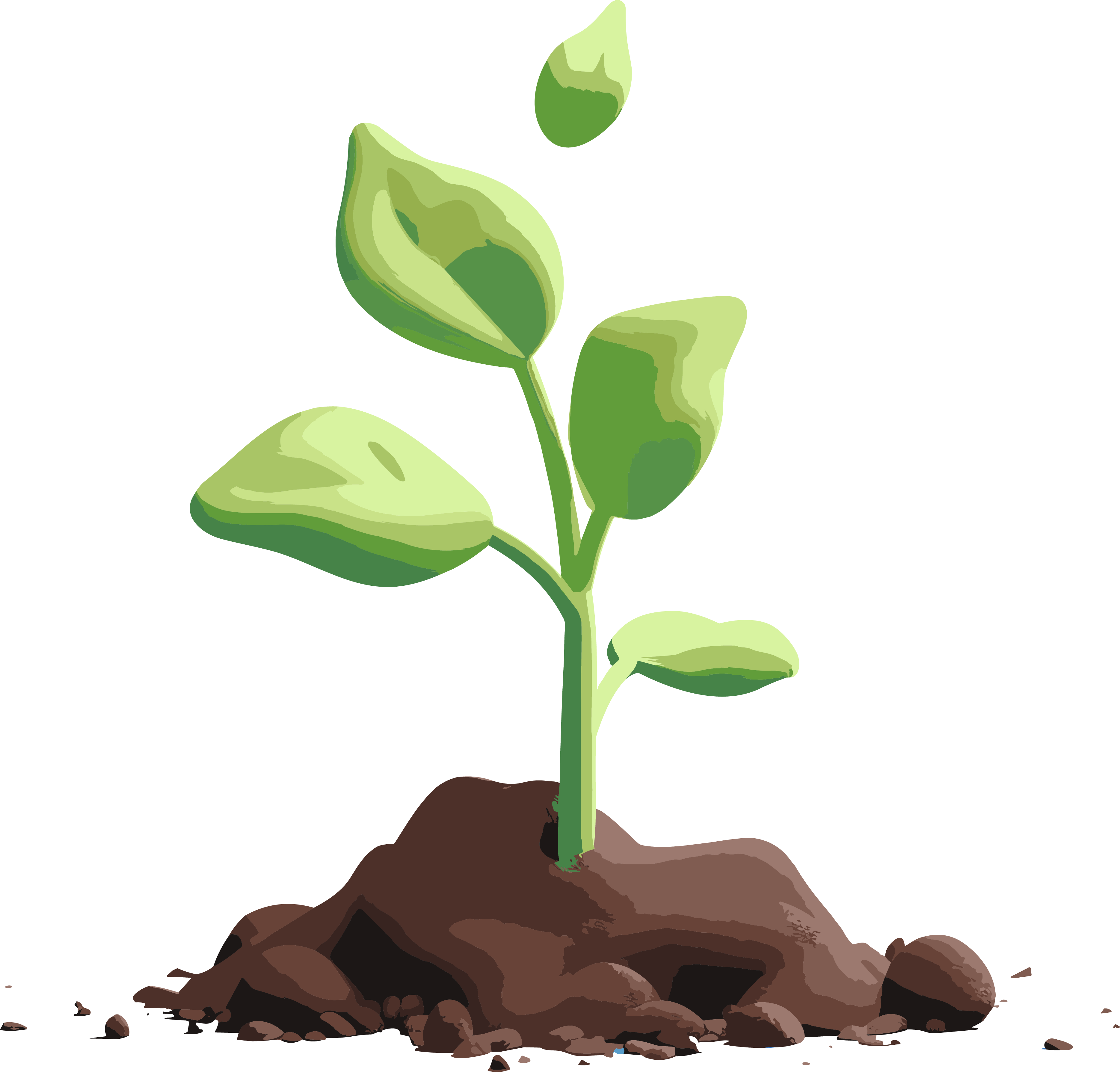 3D image material of sprouting plants on a transparent background