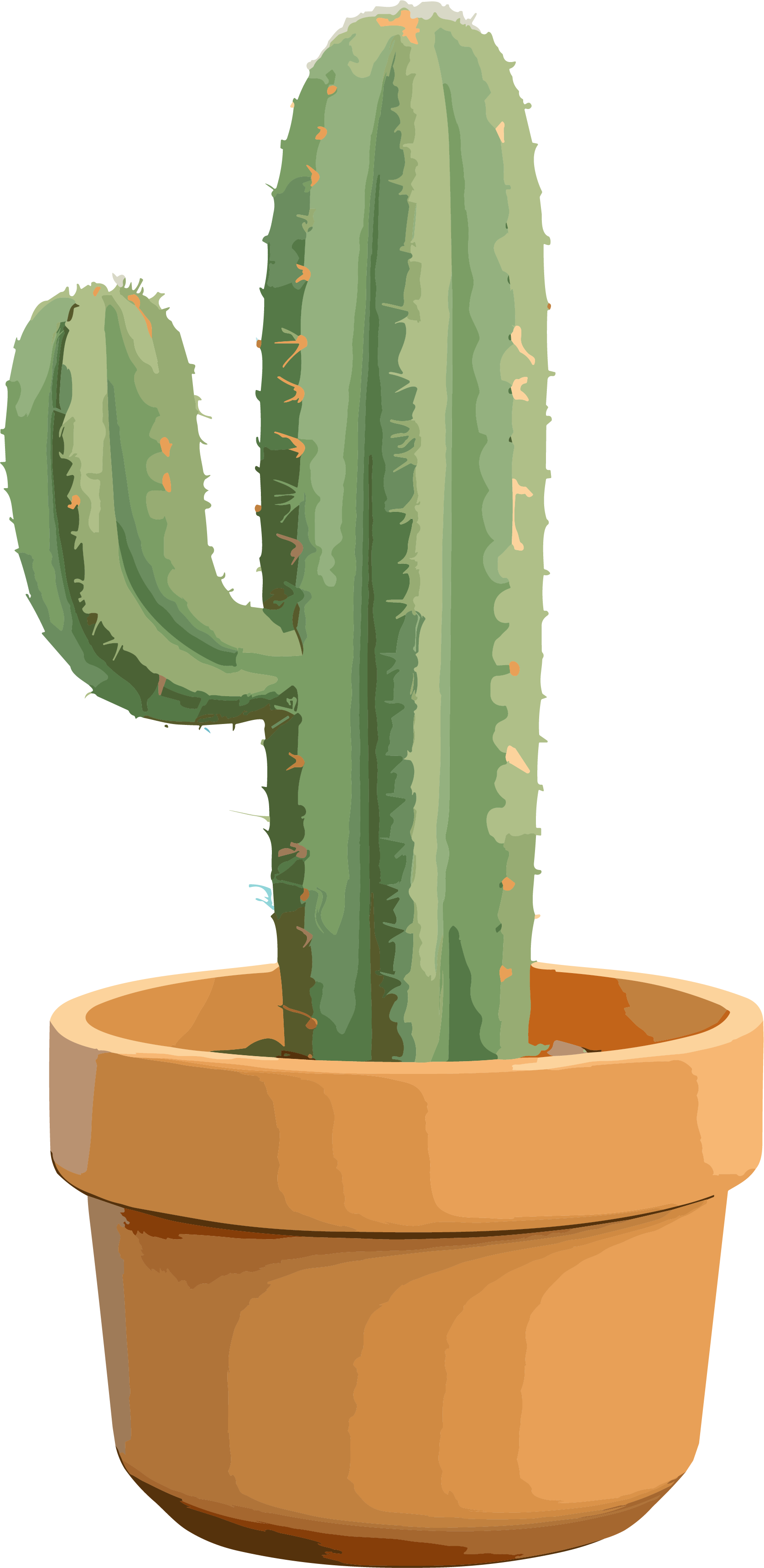 Fresh style green cactus 3D illustration