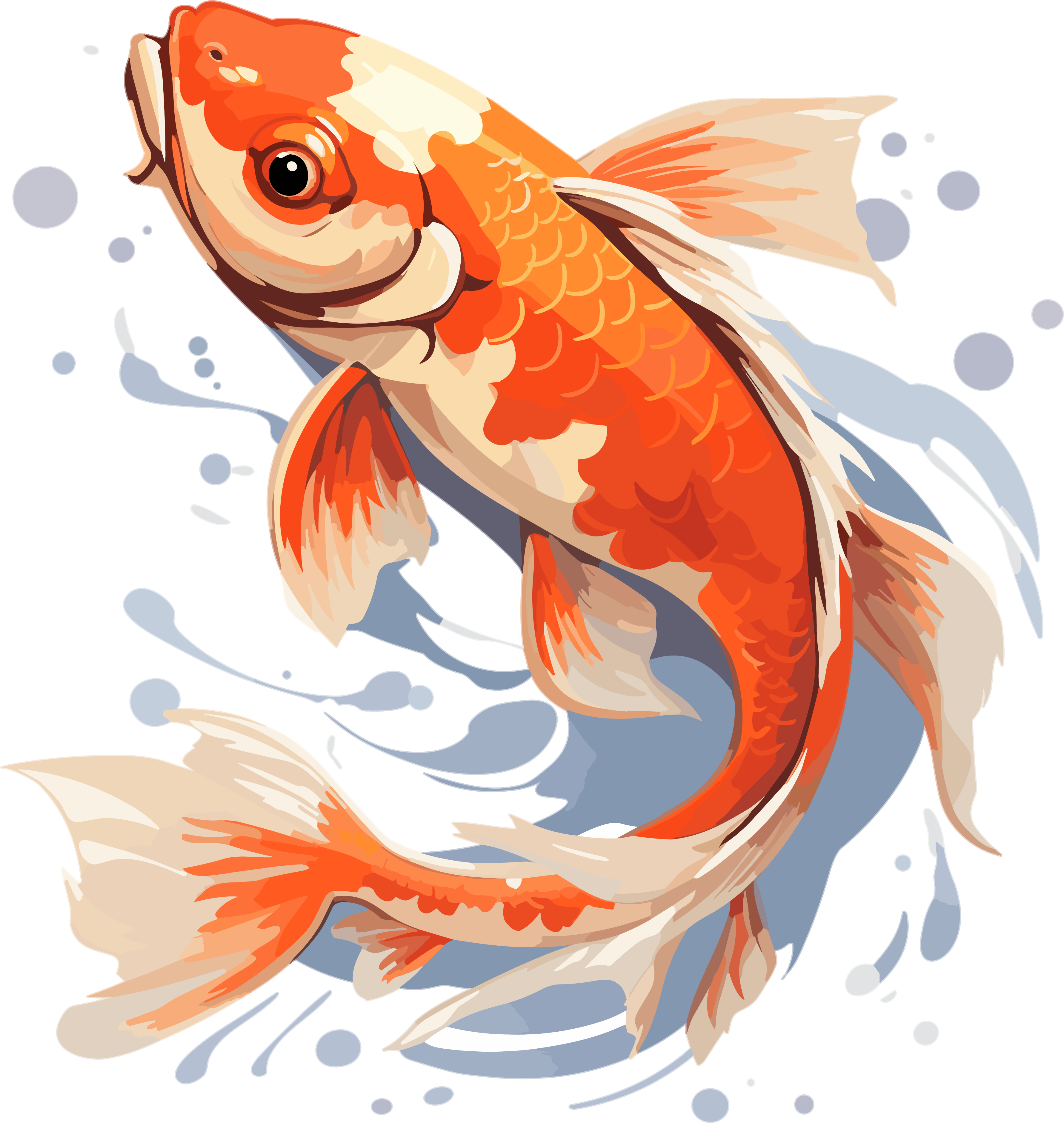 Oriental Koi Transparent Background Commercial Use Illustration Design