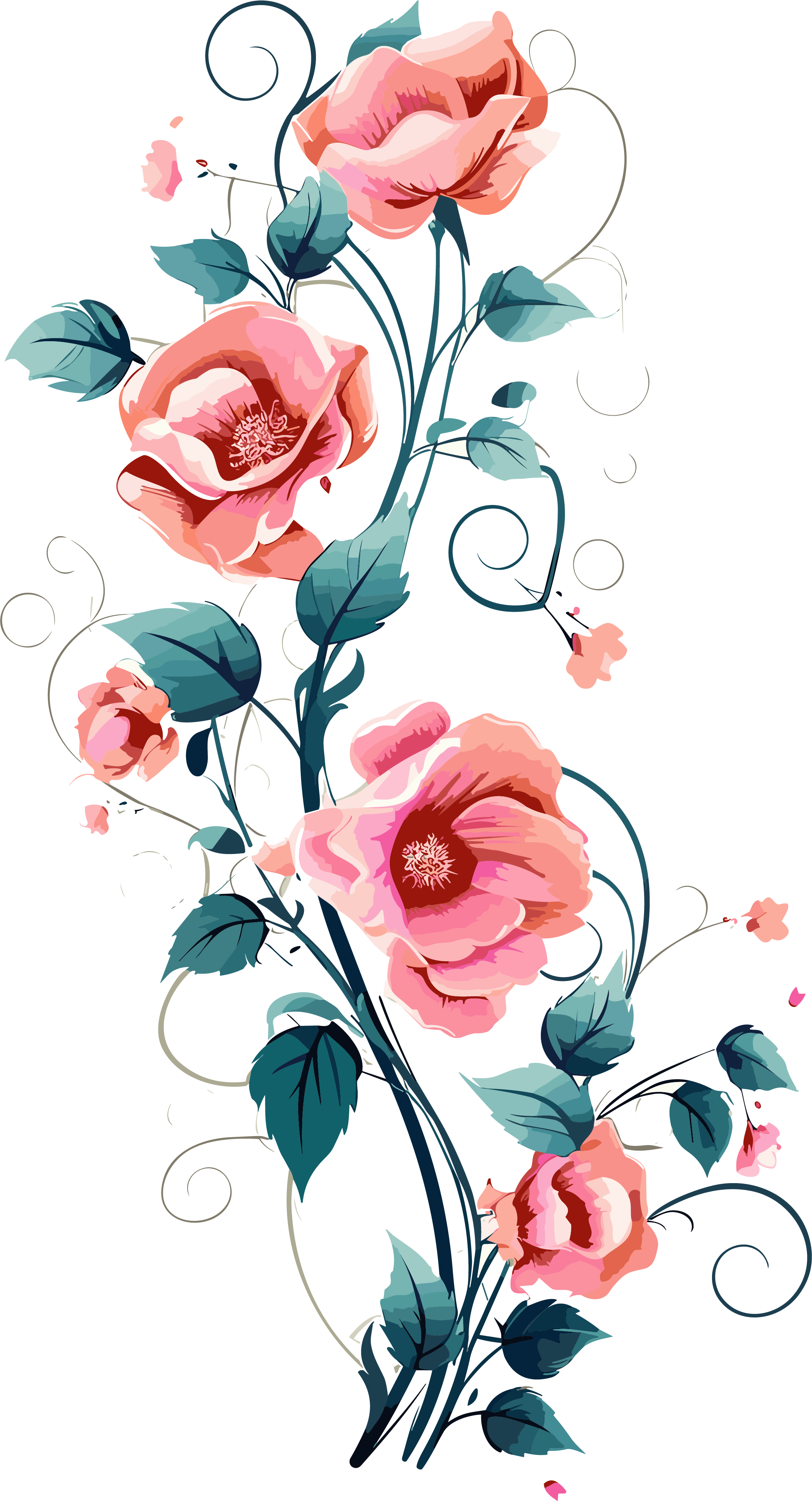 Transparent background floral vine vector illustration elements