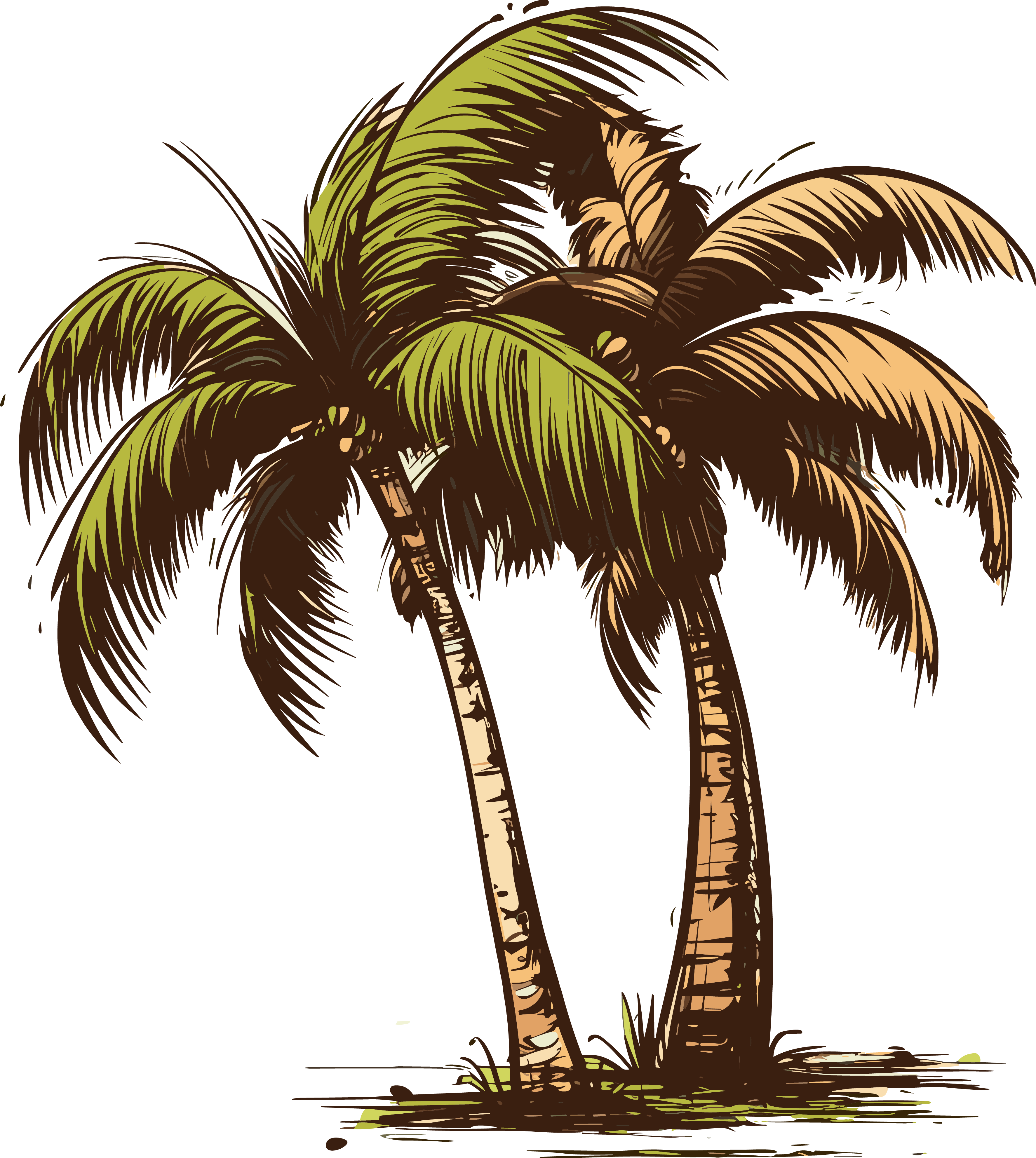 Illustration design of a coconut tree for commercial use