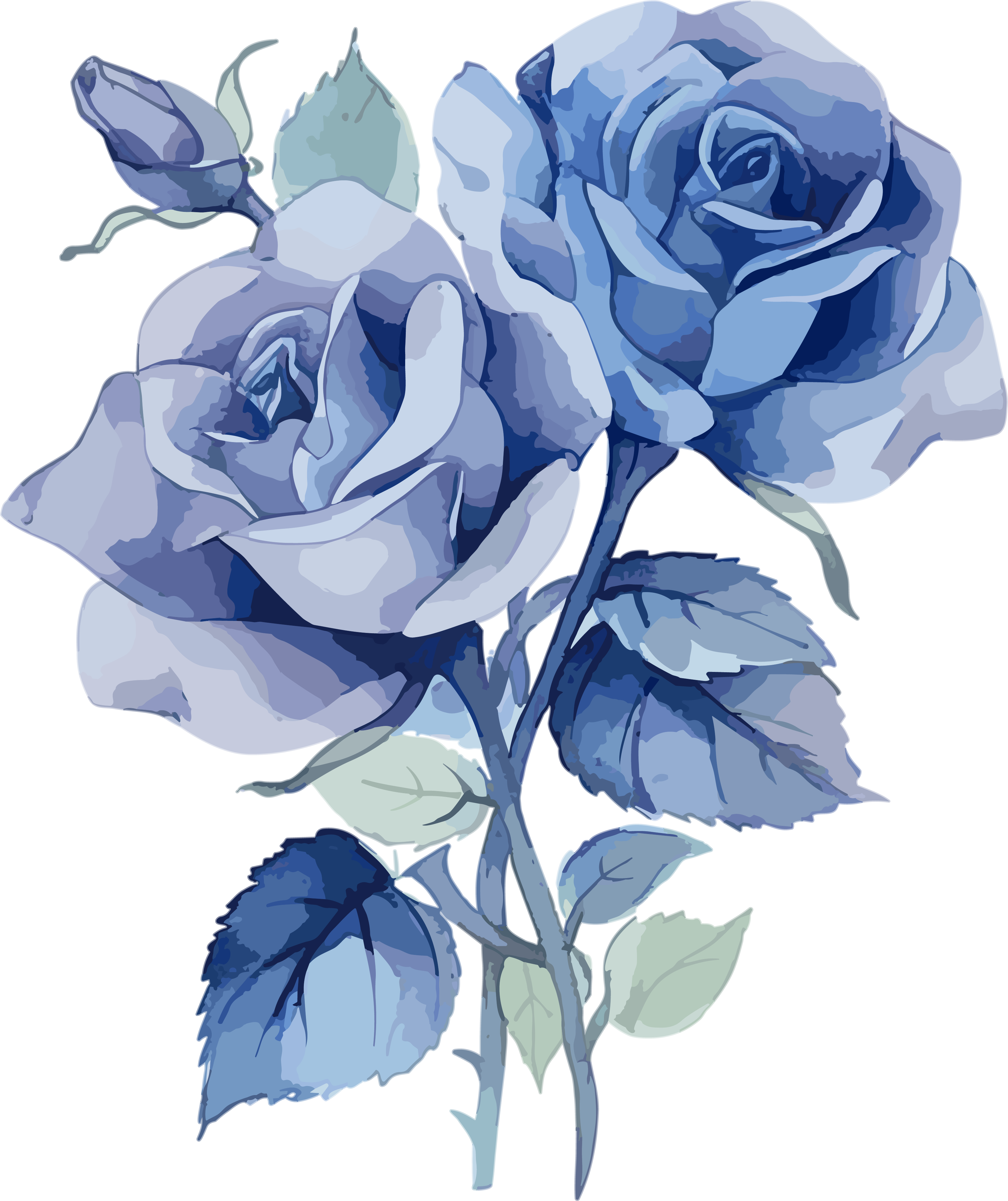 Blue rose watercolor flat design illustration on a white background