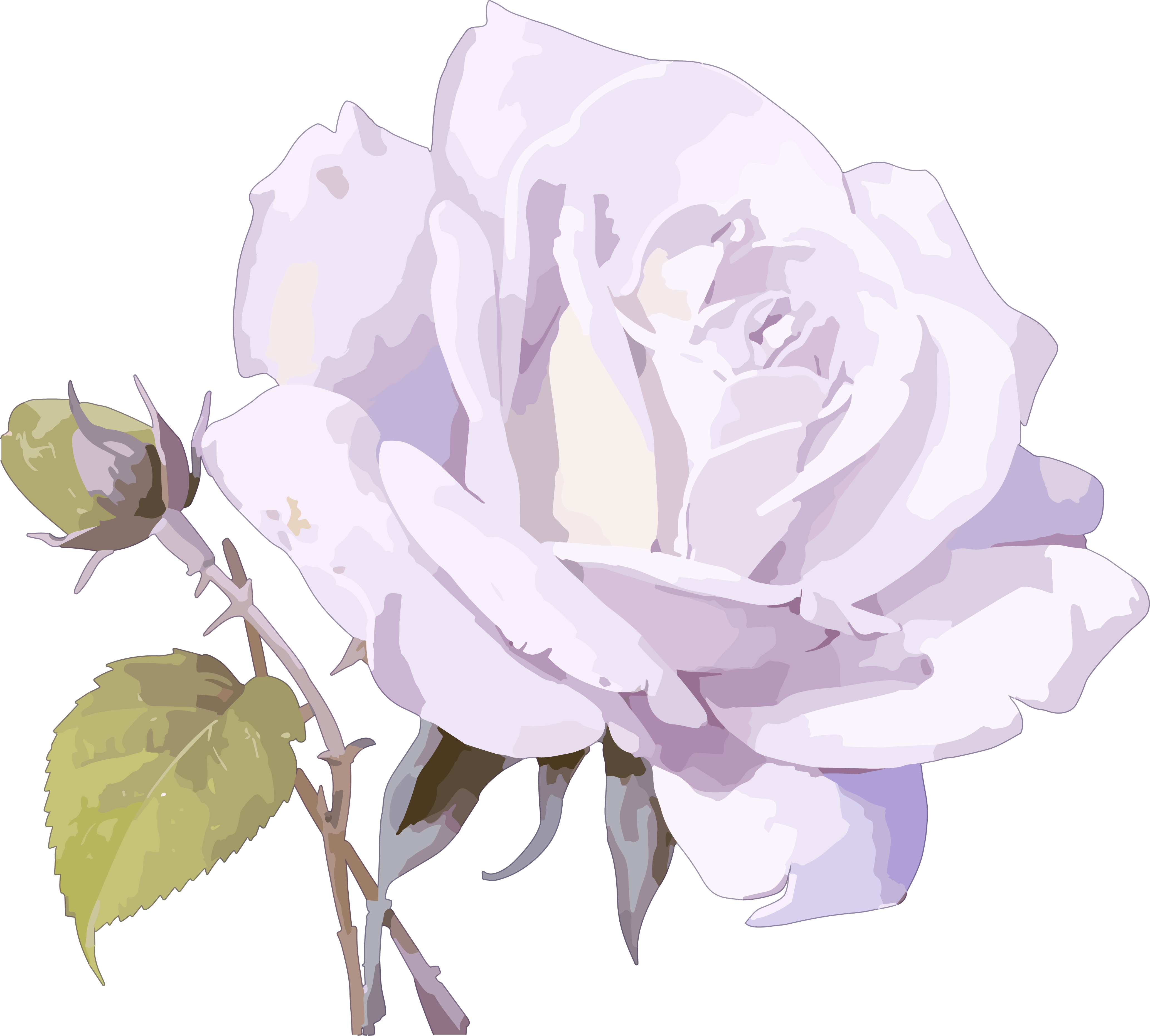 White rose element on a purple background