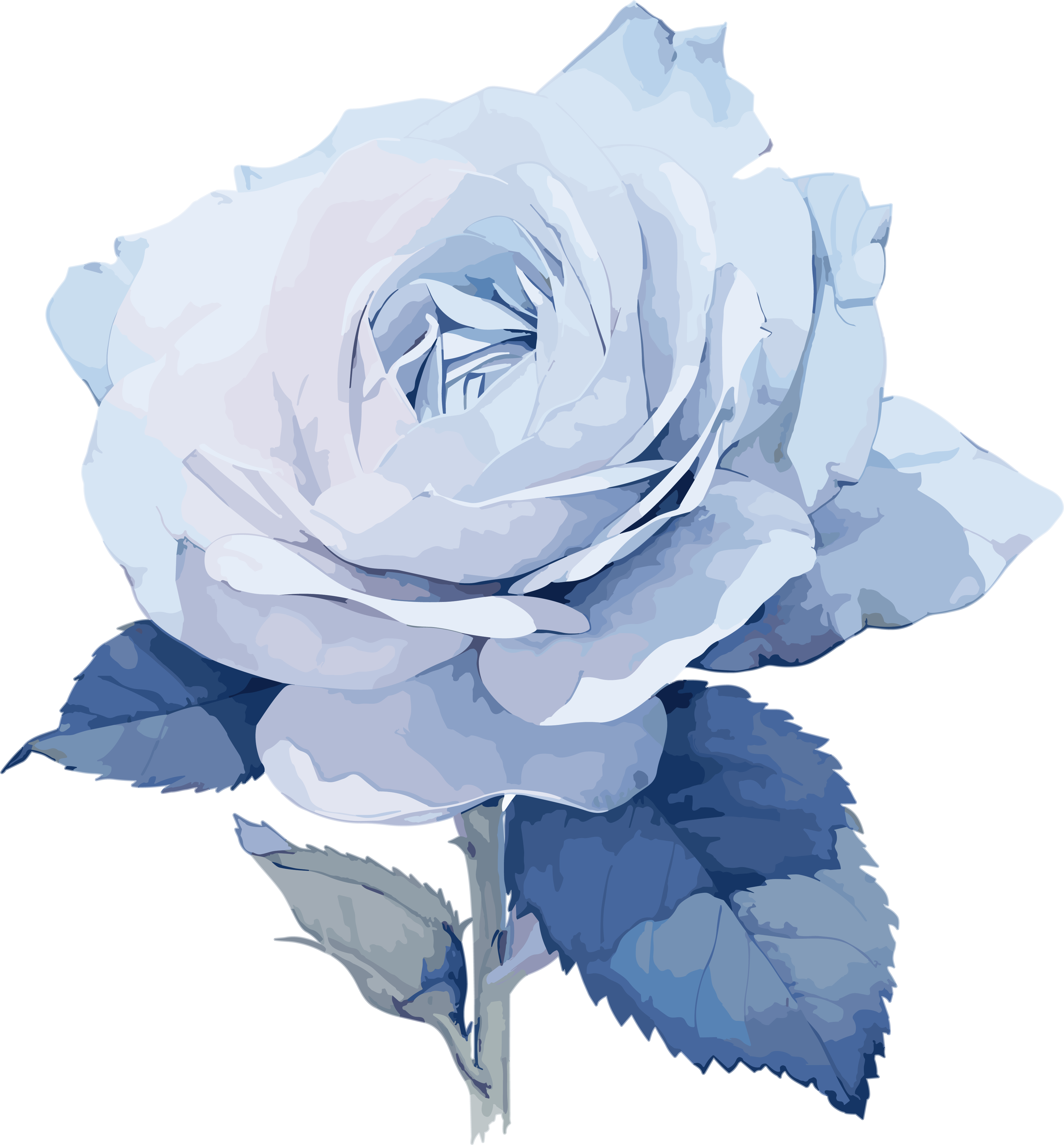 Blue rose creative design, high-definition PNG graphic material