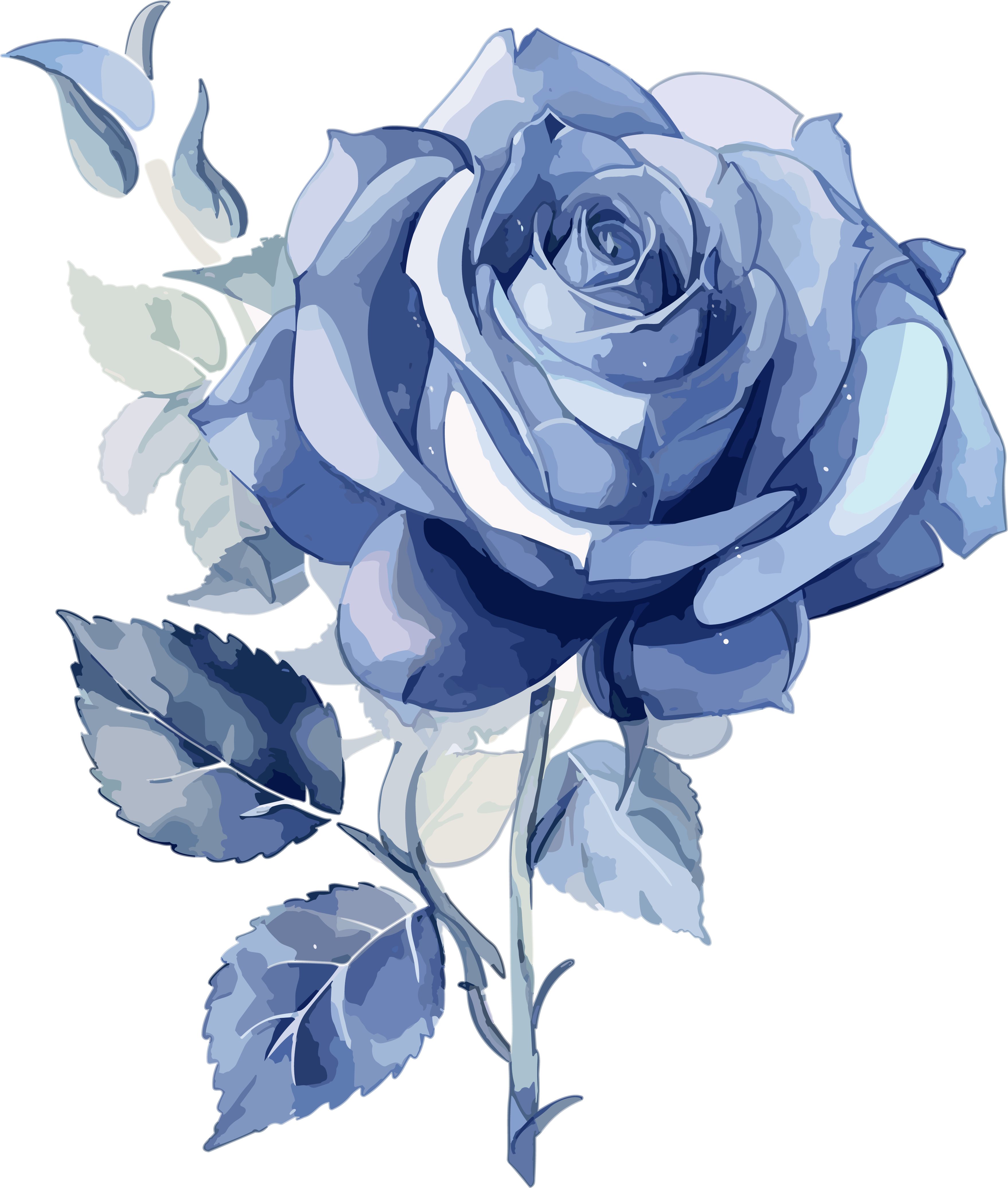 Blue rose watercolor flat design illustration on a white background