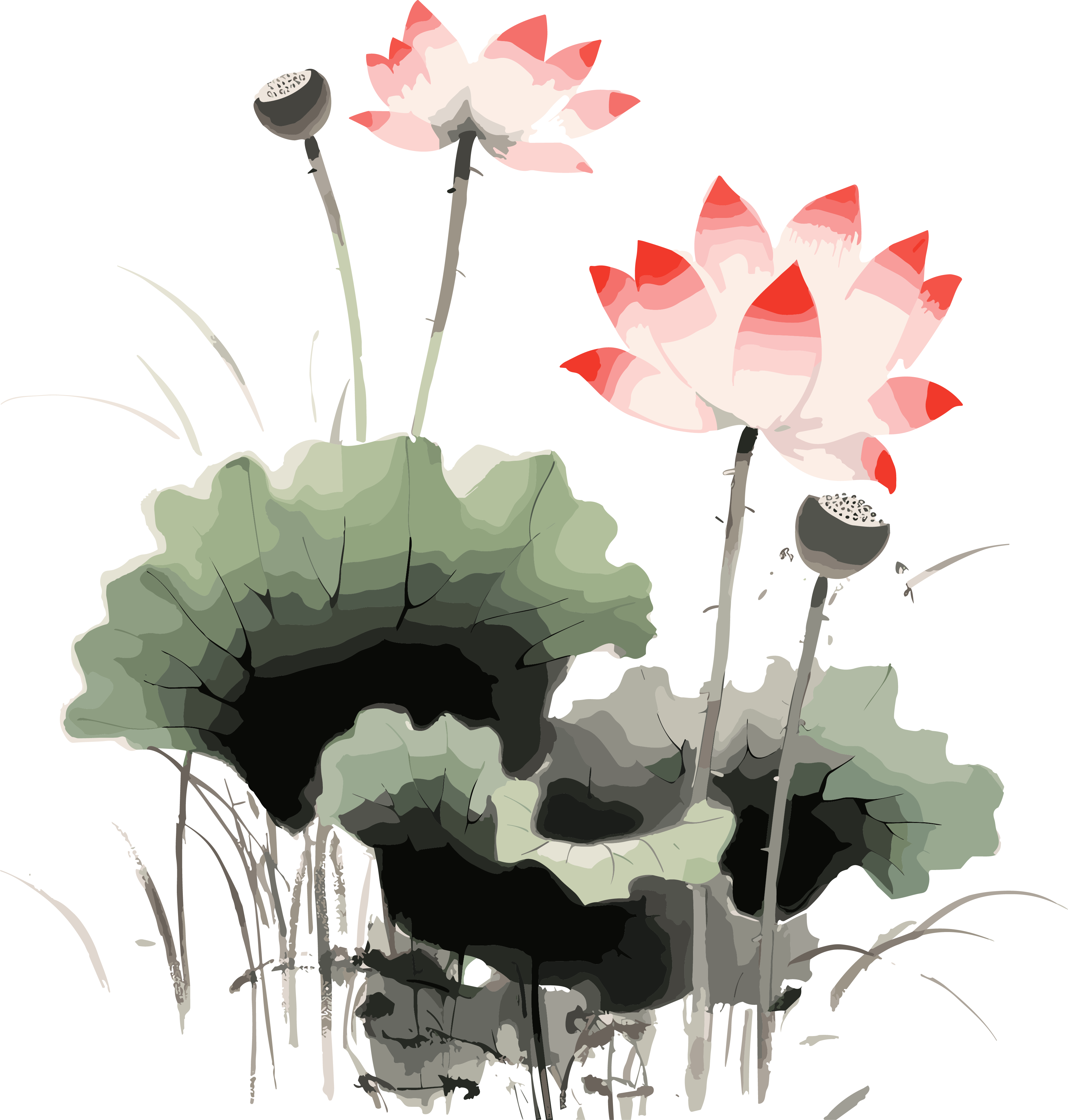 Western Zhou style lotus watercolor design elements