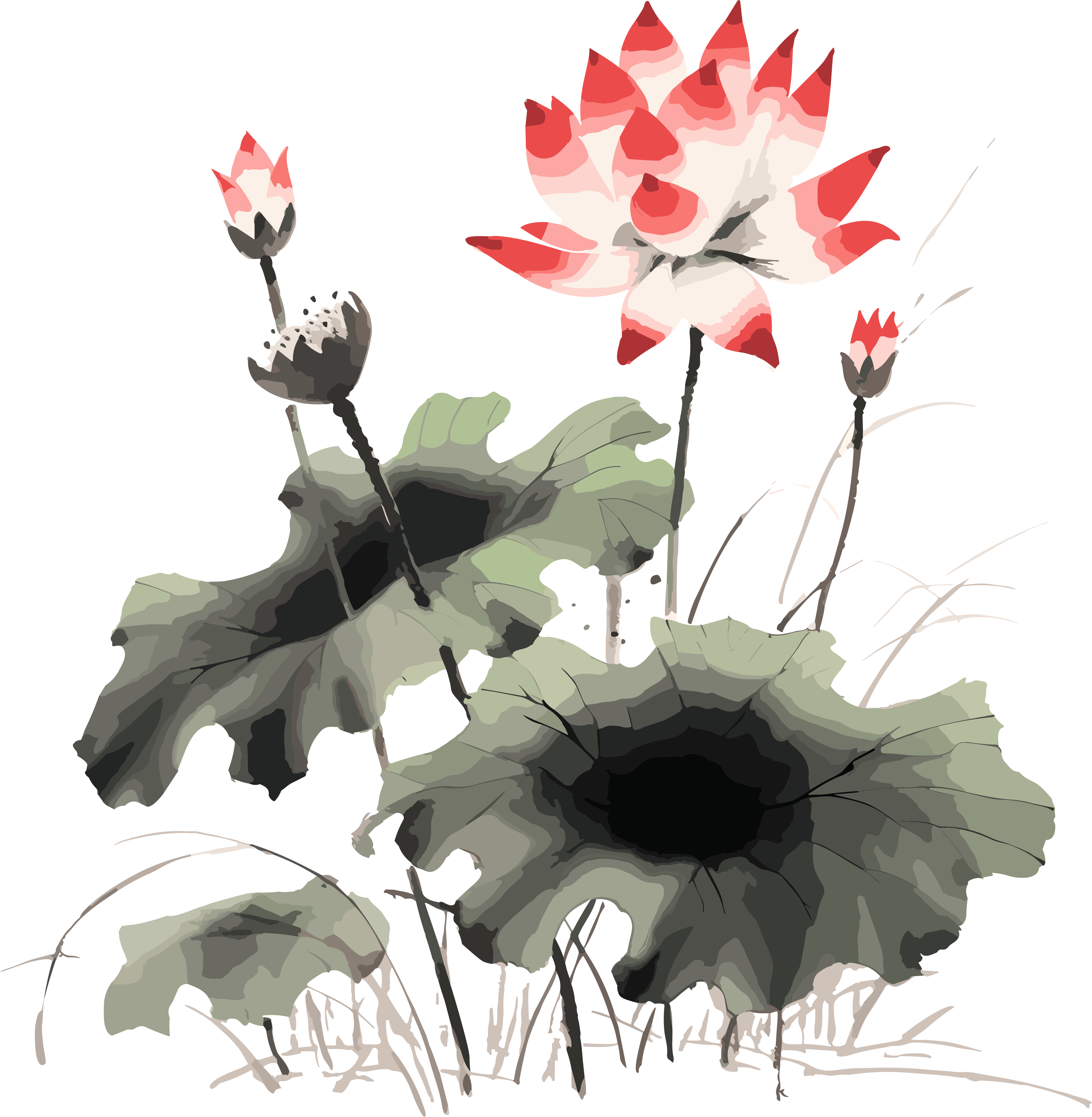 Western Zhou style lotus watercolor art design ink elements