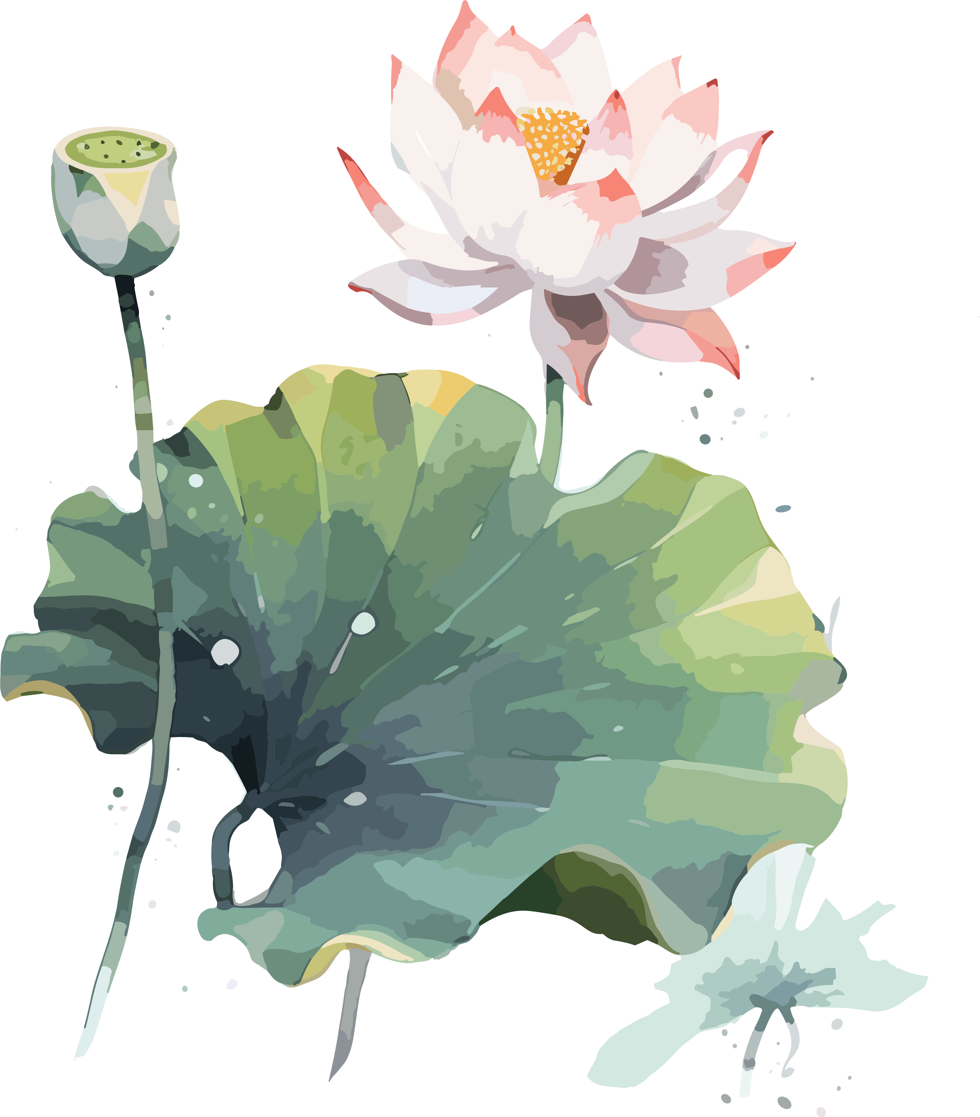 Western Zhou style lotus peach blossom watercolor art design elements