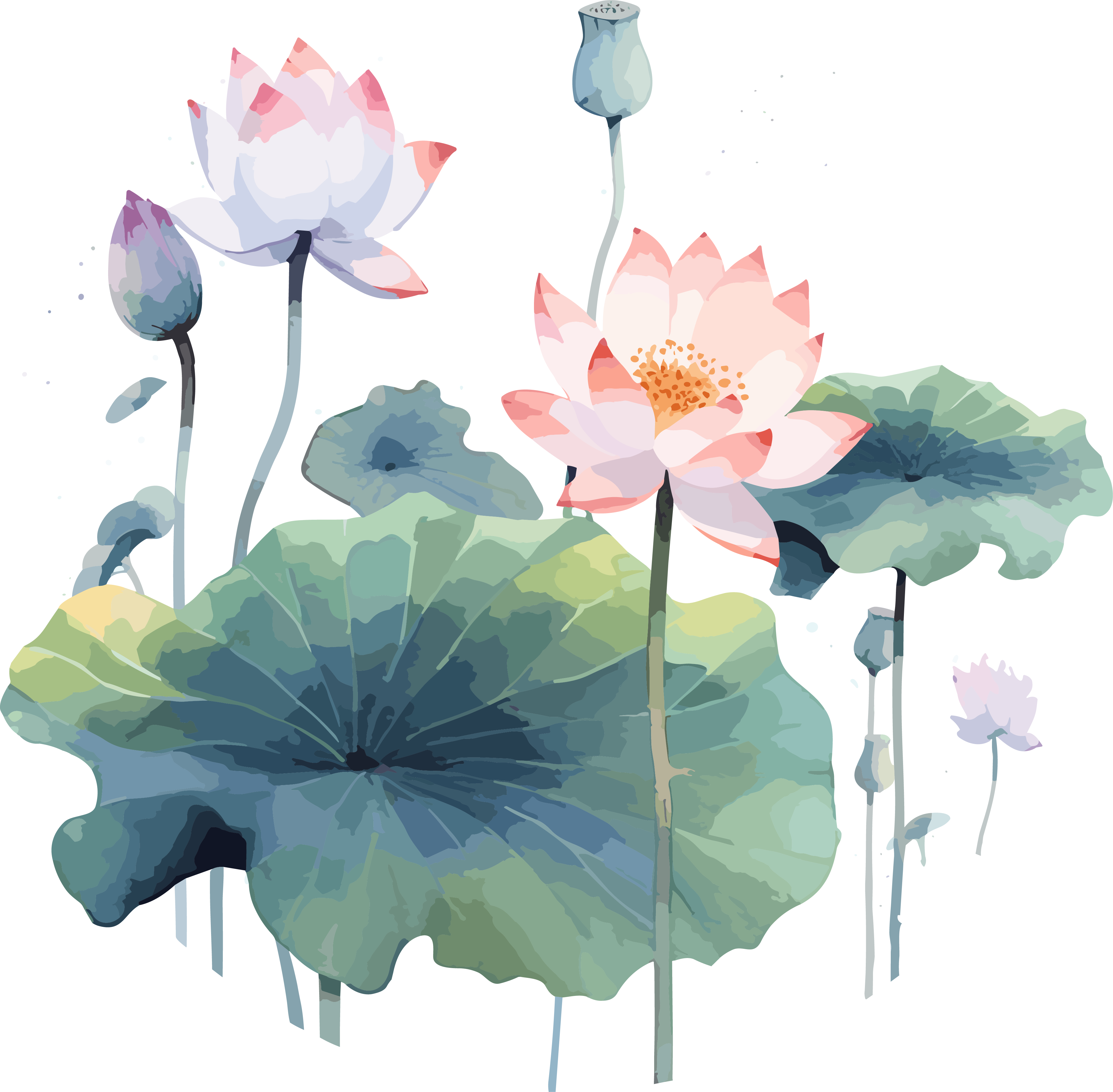 Western Zhou style lotus watercolor elements