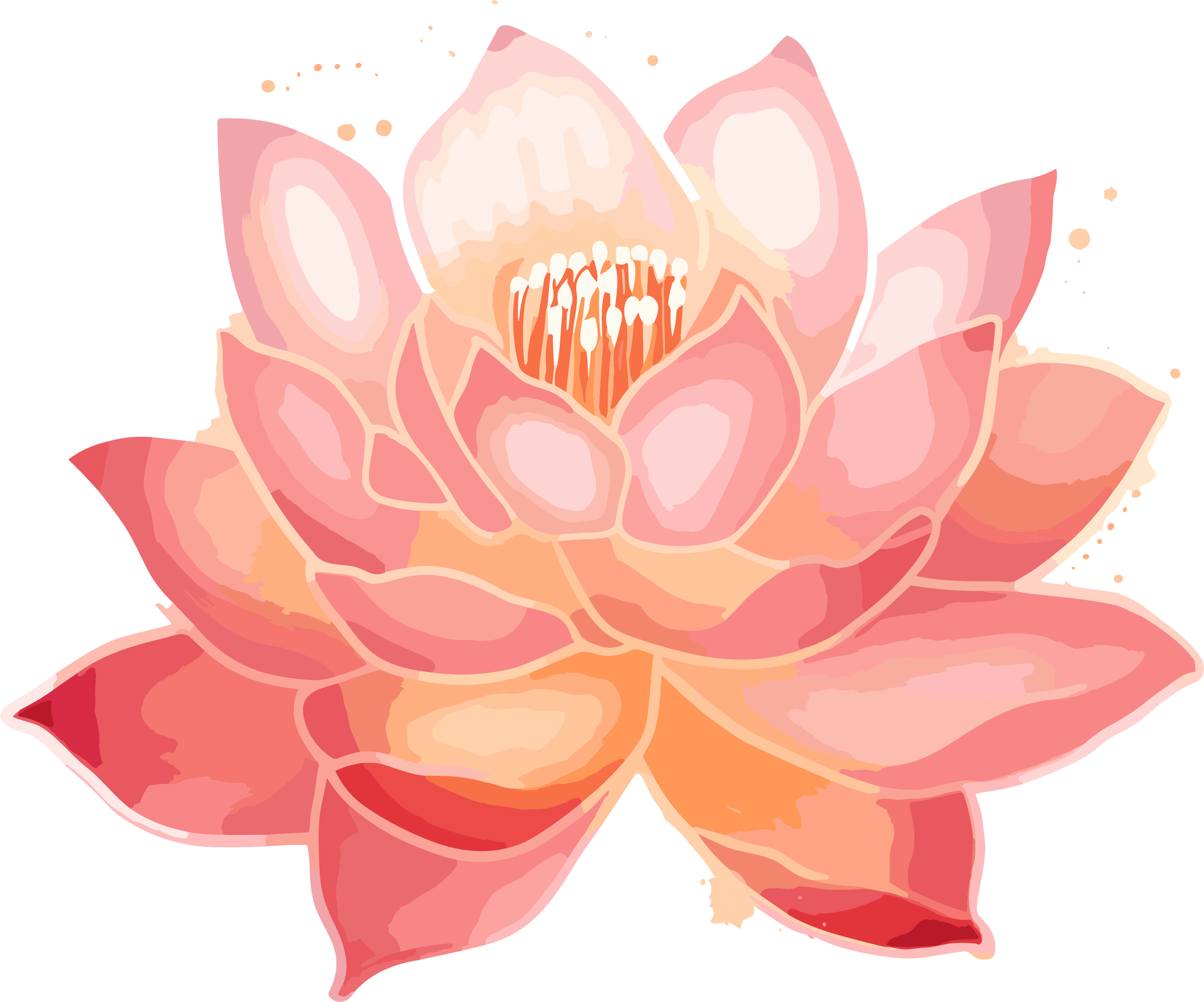 Watercolor Pink Lotus Light and Shadow Hand-painted Pattern