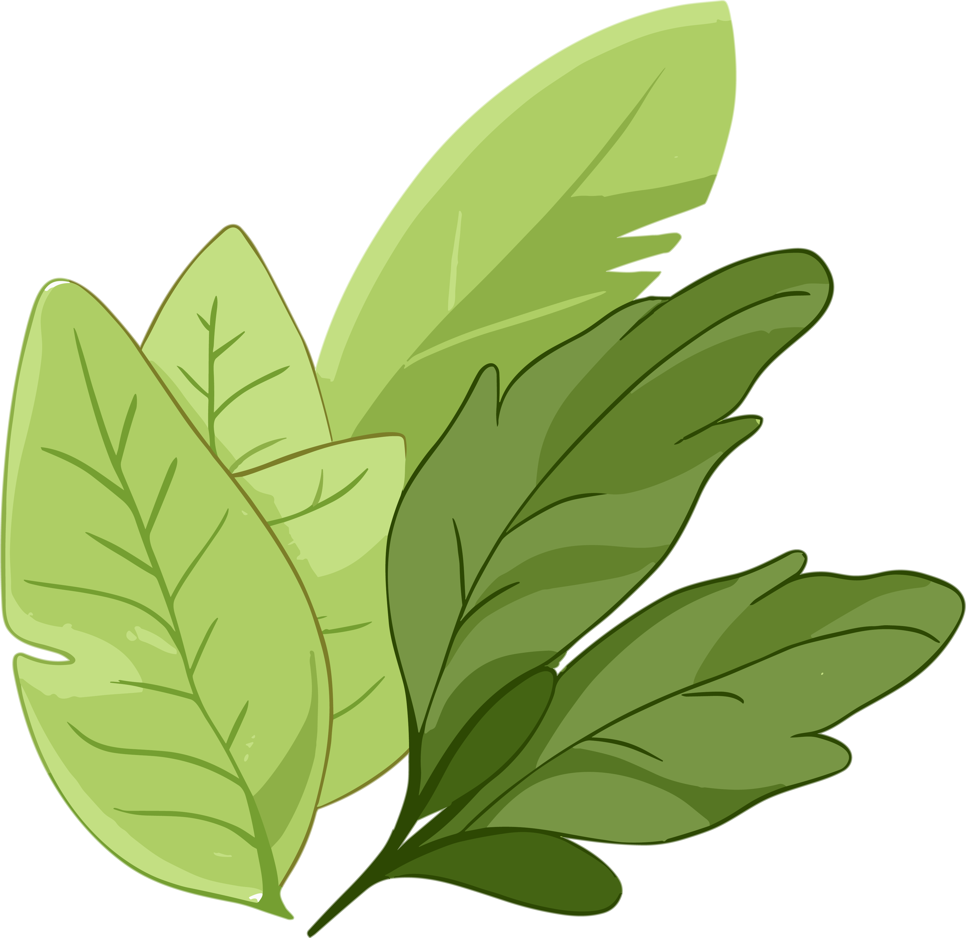 Fresh green leaf hand-drawn pattern for commercial use