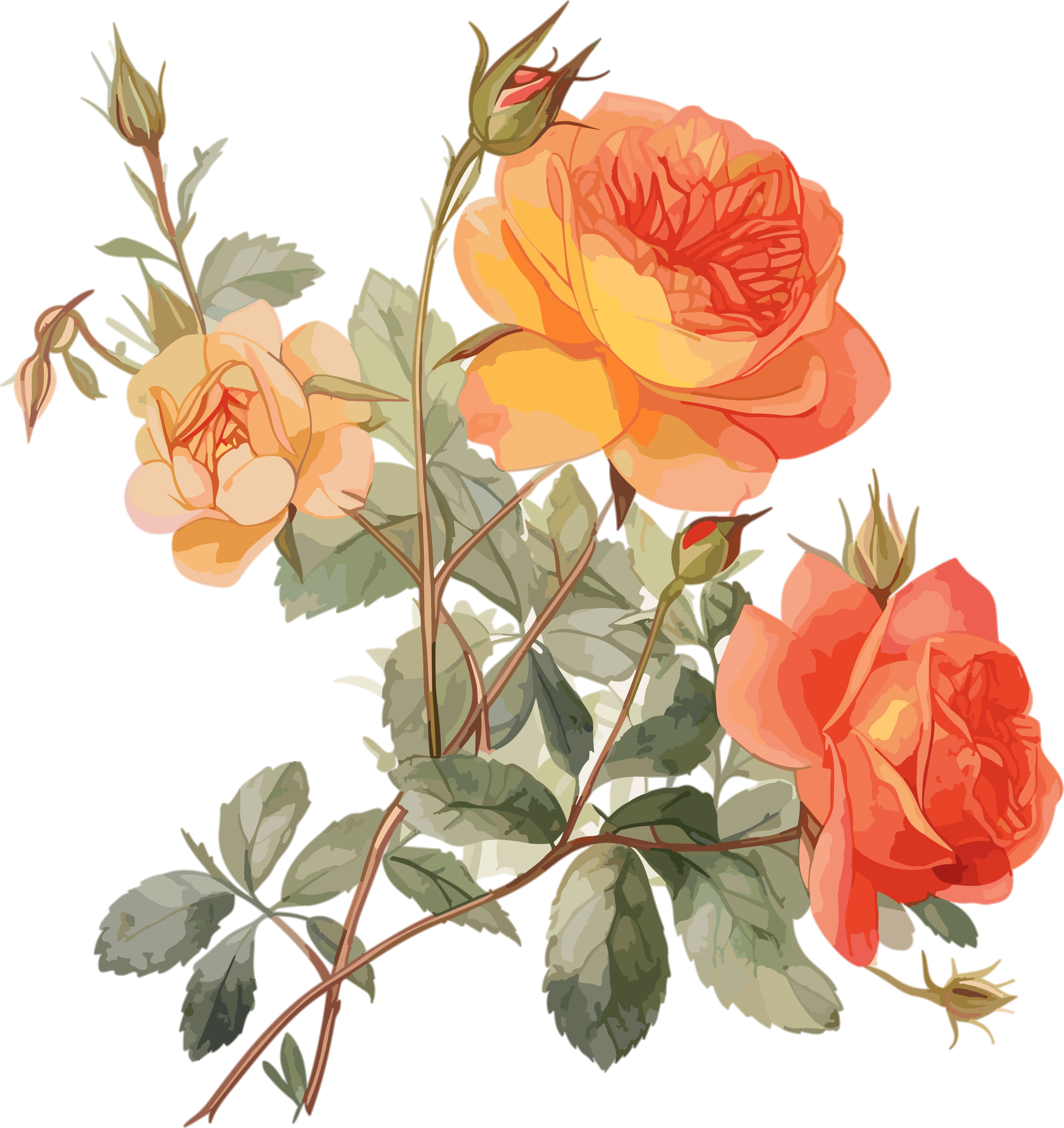 Three orange rose painting elements
