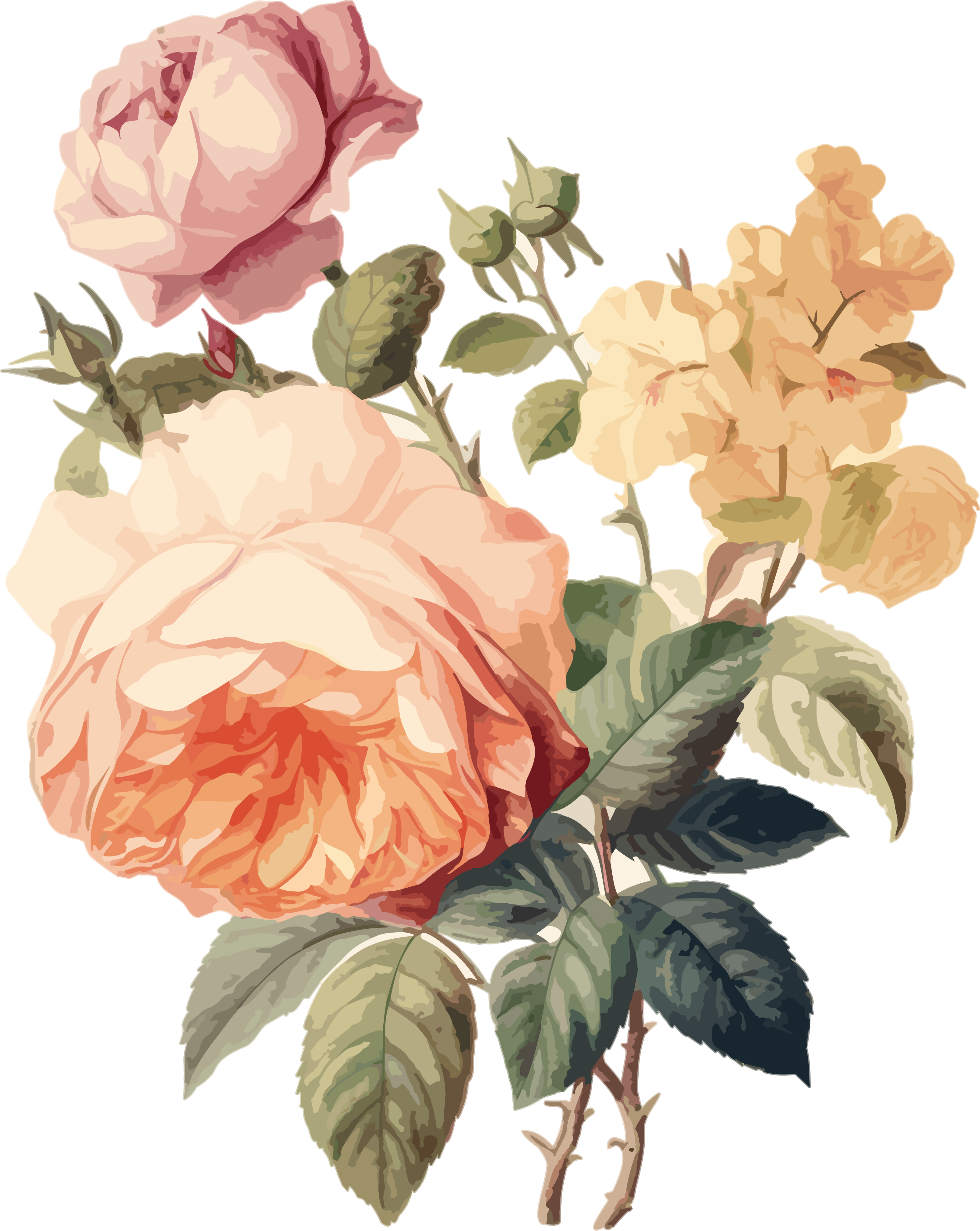 Exquisite floral illustration