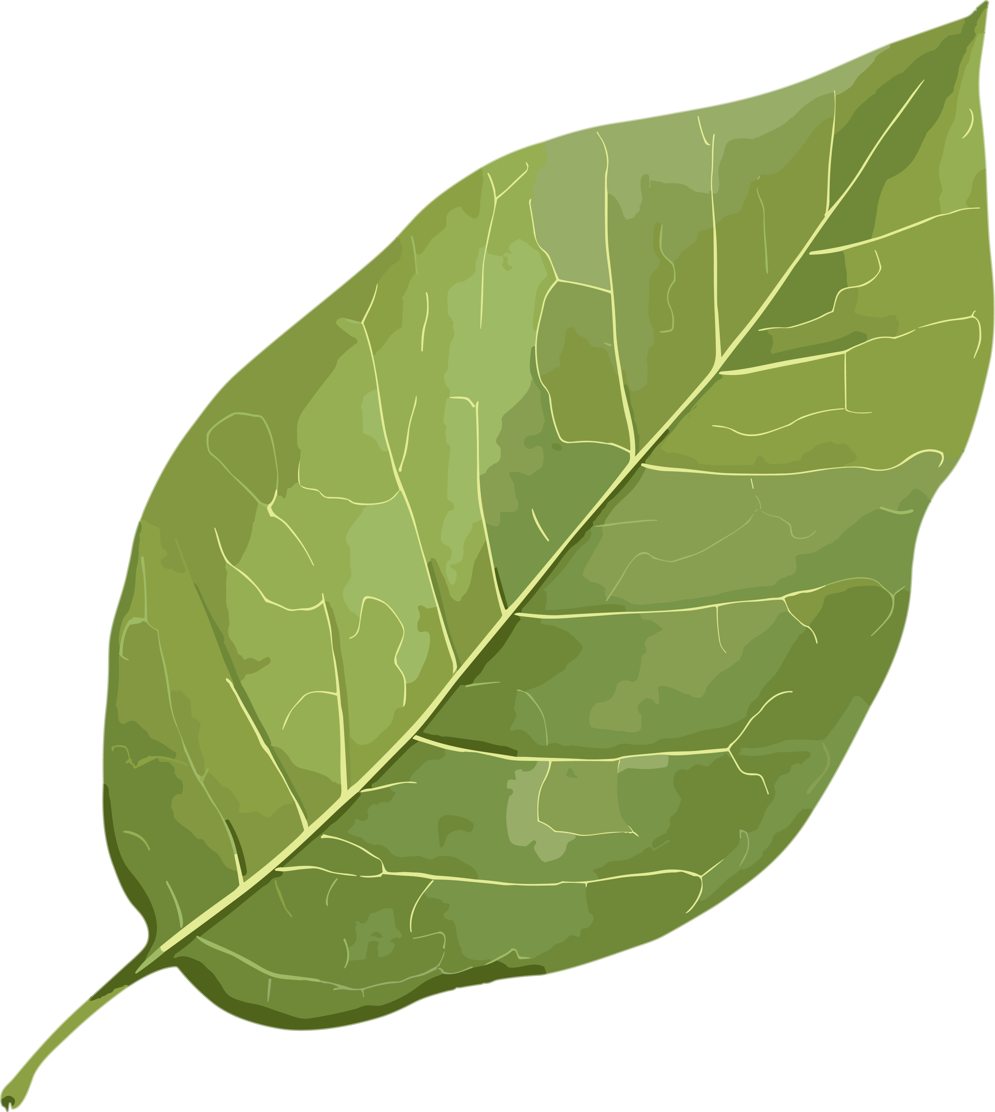 Nature-themed illustration design PNG materials