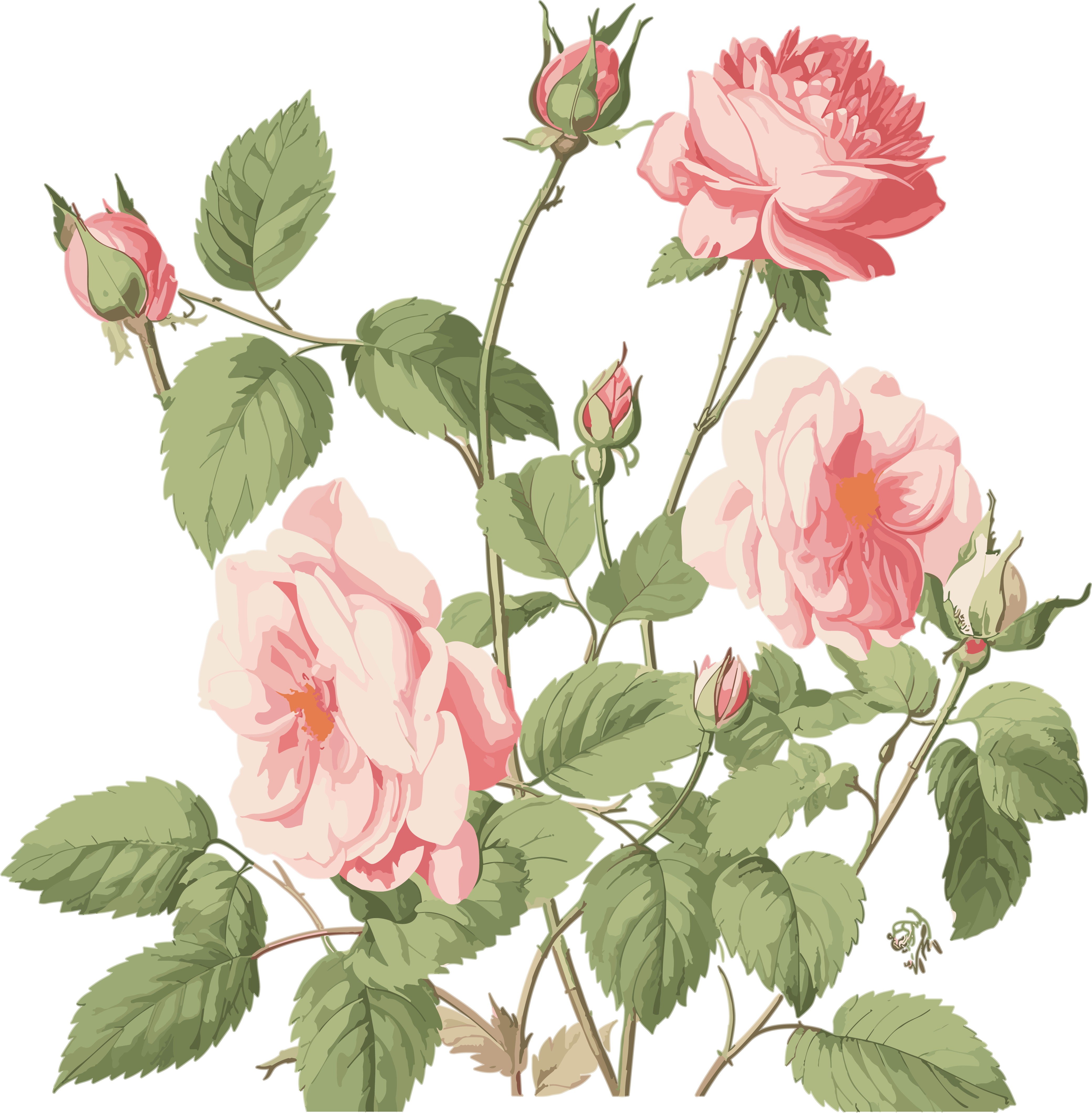 Vintage rose clipart with leaves