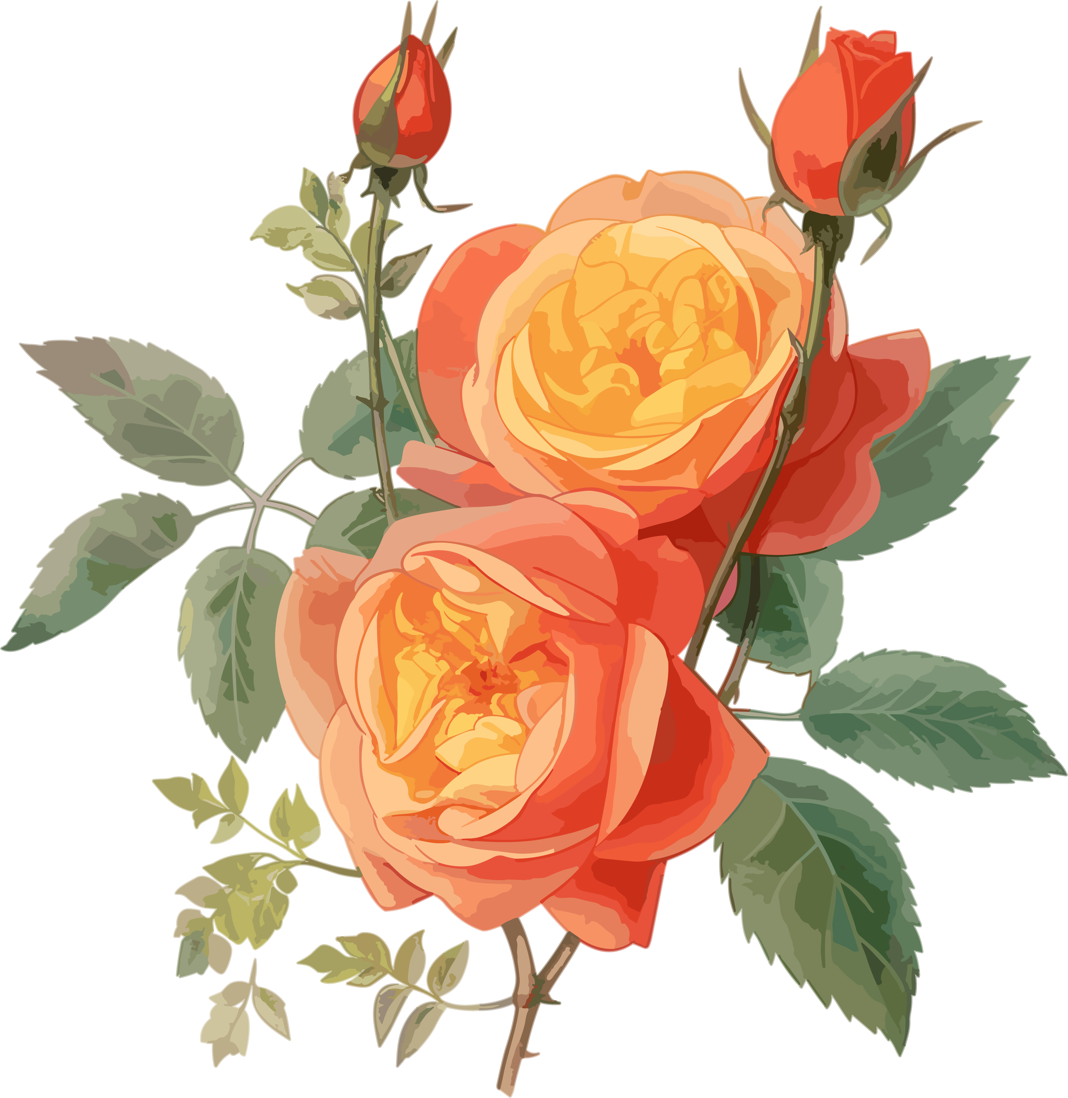 Beautiful orange rose pattern material