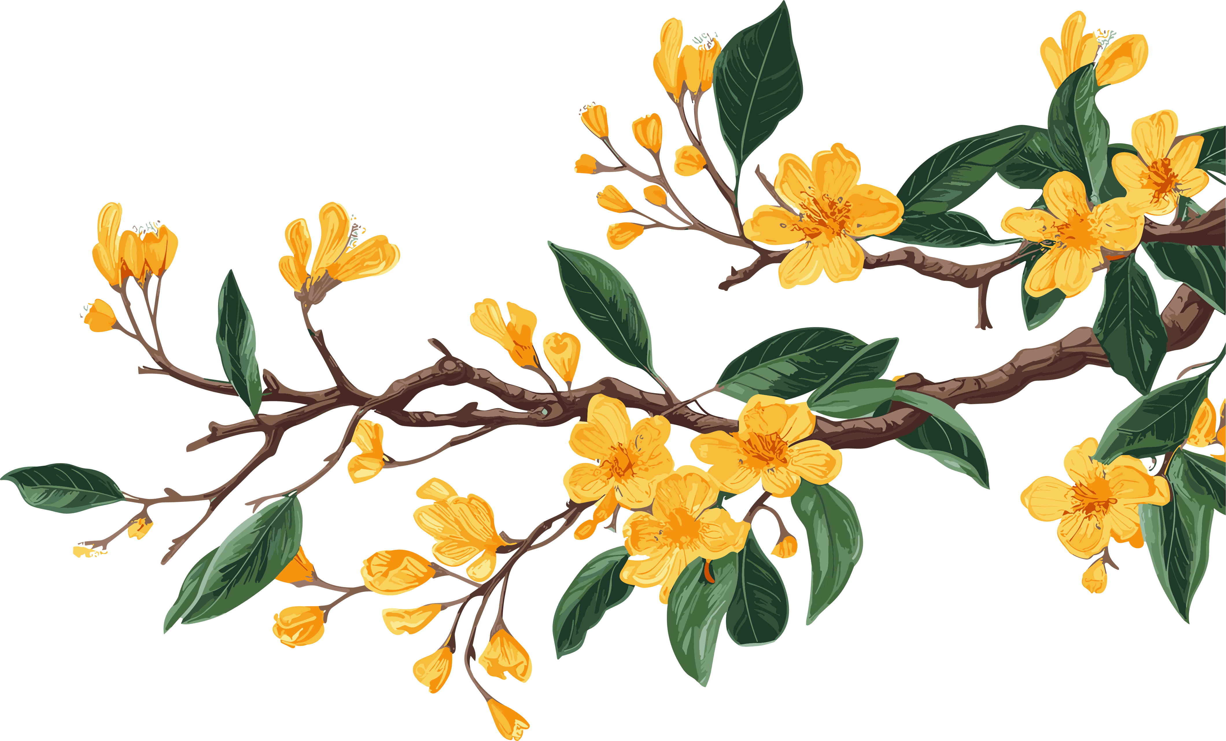 Golden yellow branches and leaves flower PNG graphic material