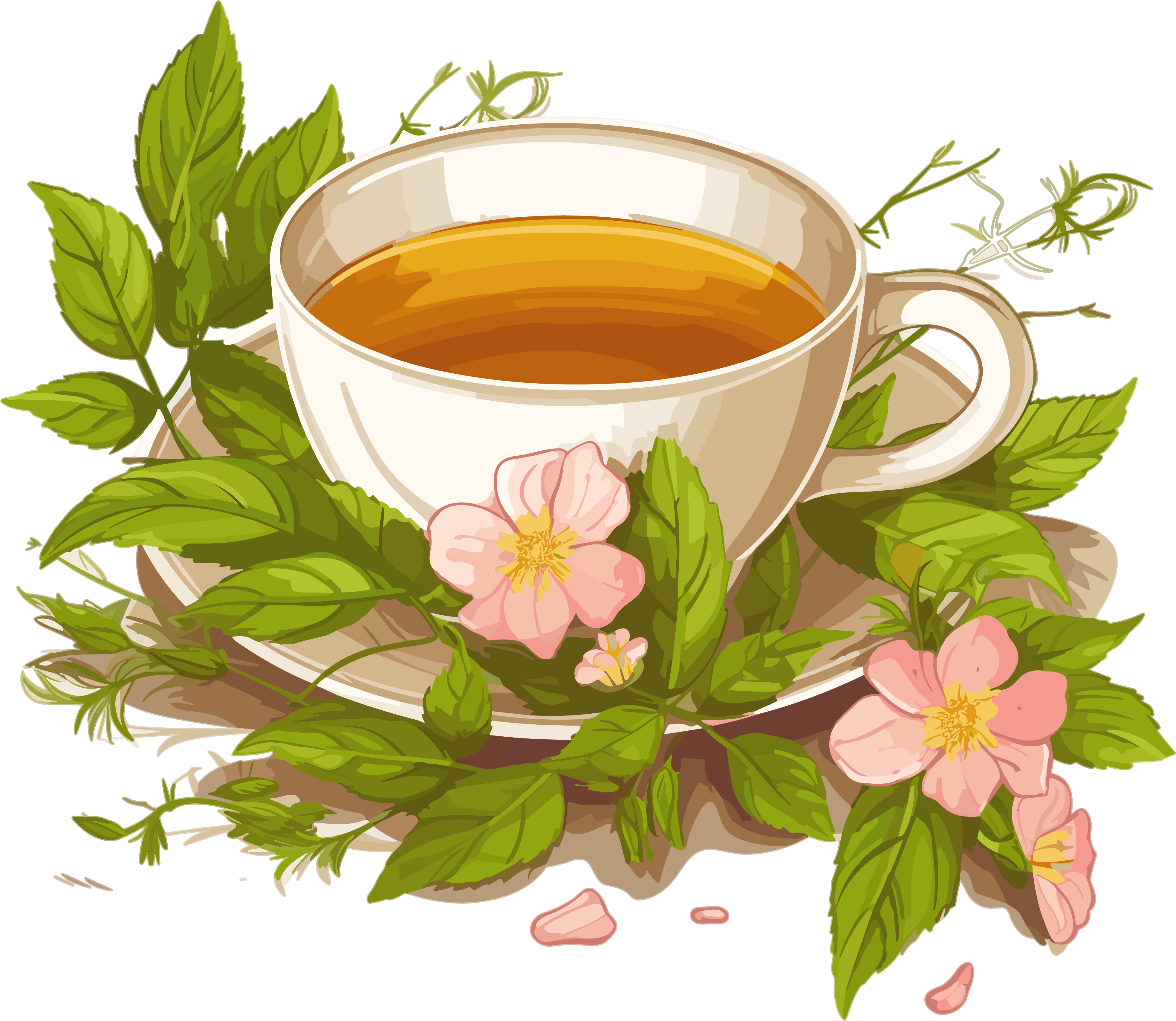 Herbal tea illustration design with floral leaf texture, high-definition transparent background material
